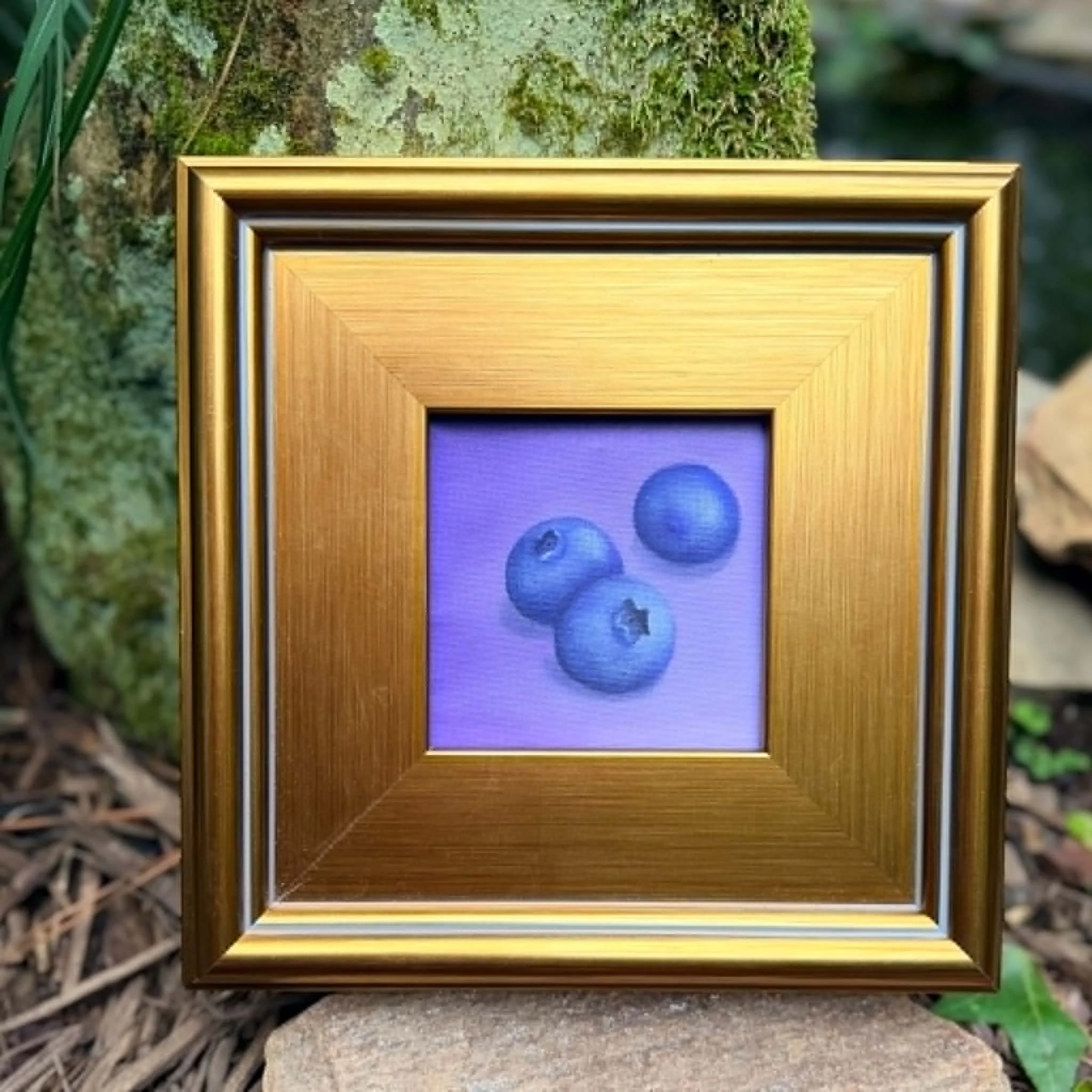 Small square blueberry oil painting on stretched canvas, ready to hang, frame, or display as part of a collected wall.