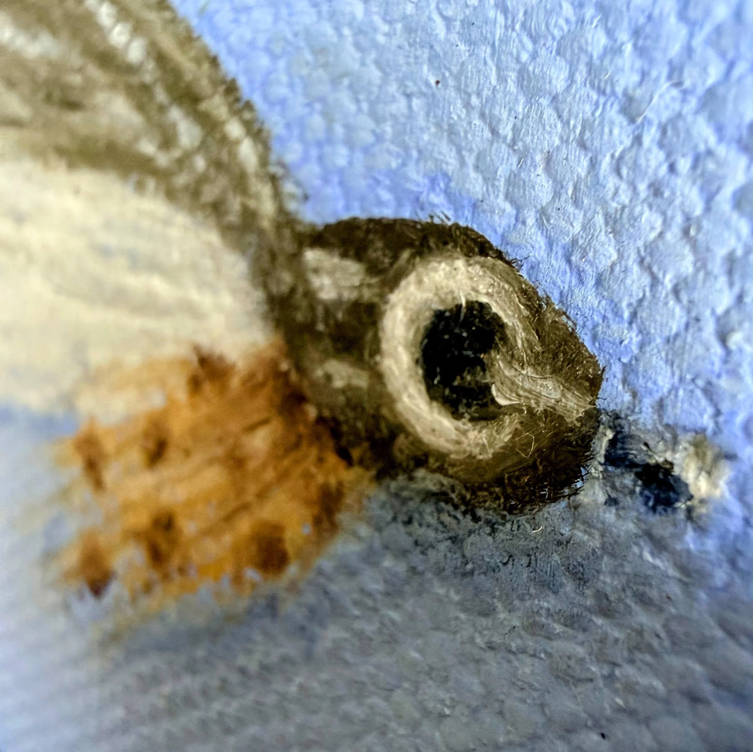 Close-up of a miniature fishing fly painted in oil with translucent white feather-like brushwork, gray wing detail, warm brown body accents, hook detail, and visible canvas texture.