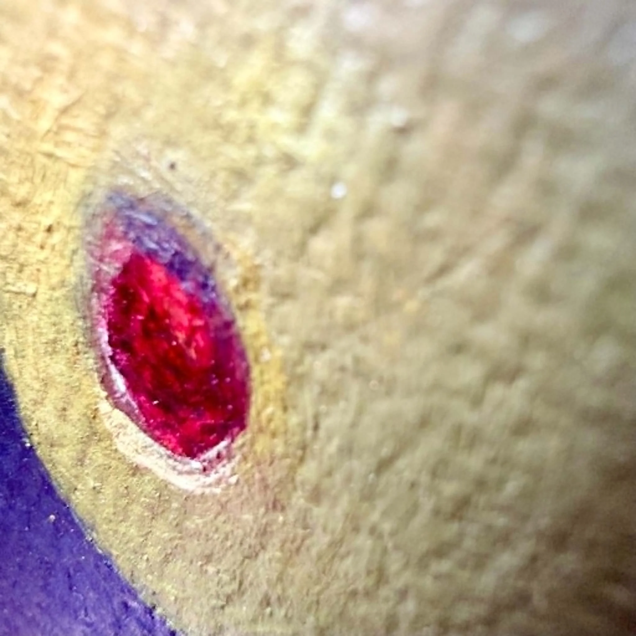 Close-up of cocktail olives painted in oil with soft green highlights, moody shadows, a red pimento detail, and visible canvas texture.