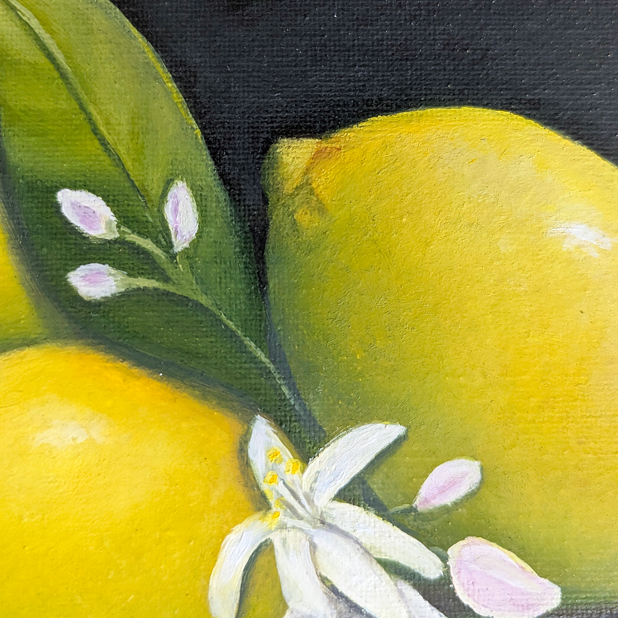 Close-up detail of Lemon Branch Still Life Painting showing yellow lemons, white blossoms, green leaves, and oil brushwork on canvas
