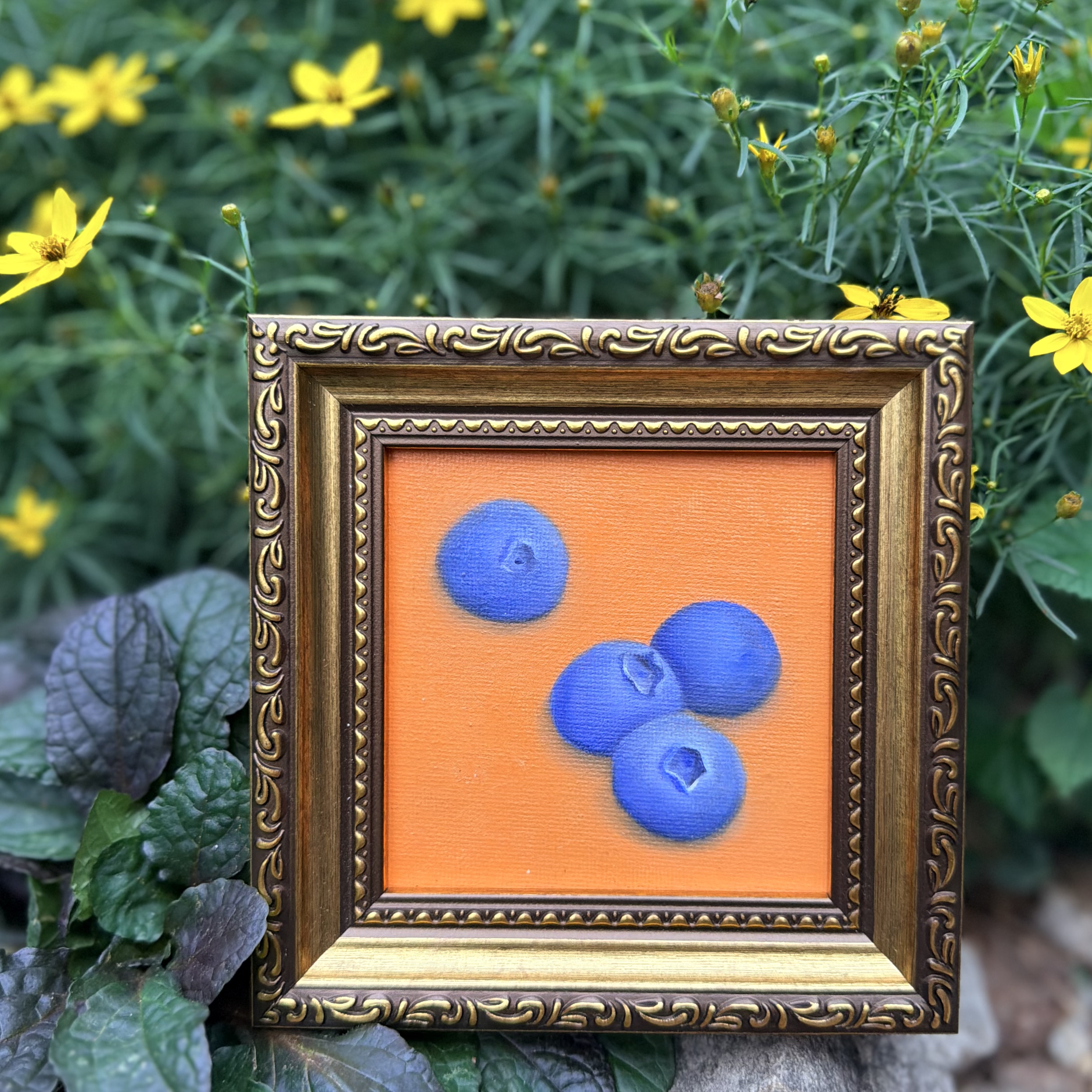 Small square blueberry oil painting shown on canvas board, ready to frame or display as part of a collected wall.
