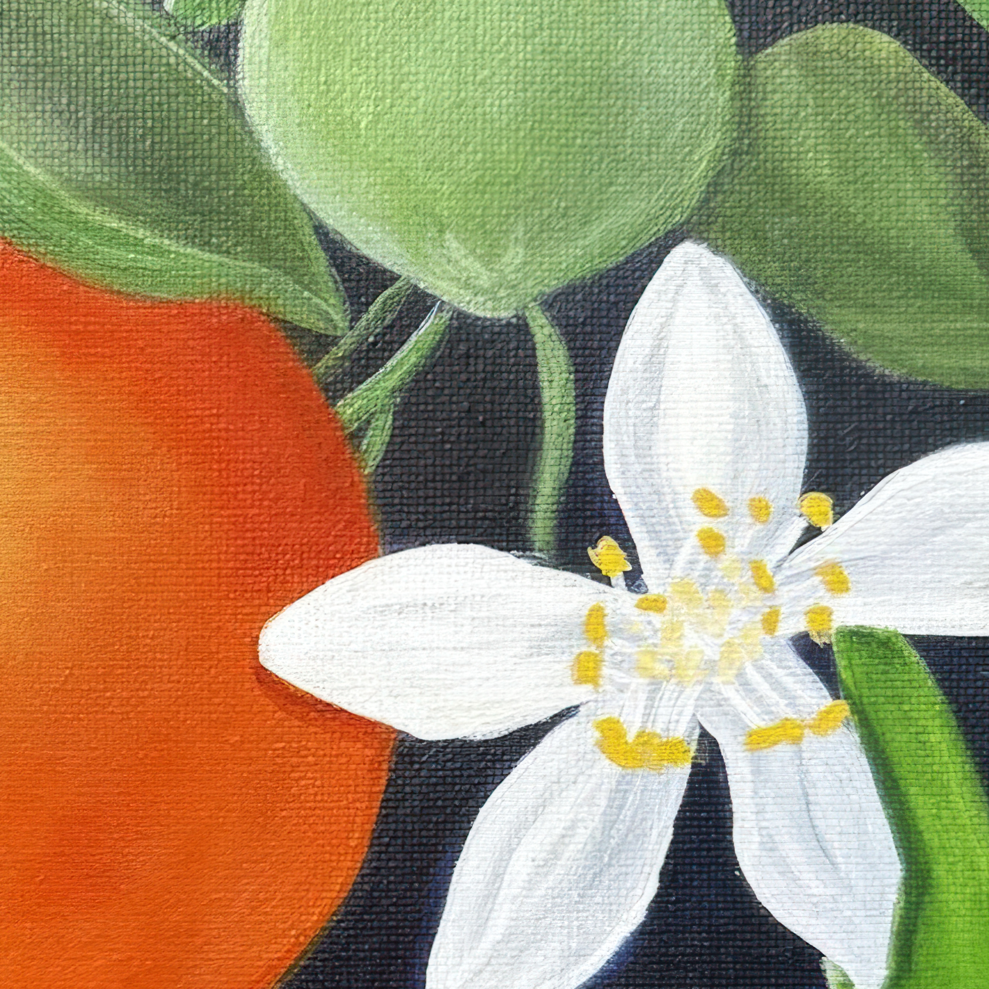Orange Blossom Still Life Painting original 8 x 8 acrylic painting by Tricia Sauls shown unframed on canvas