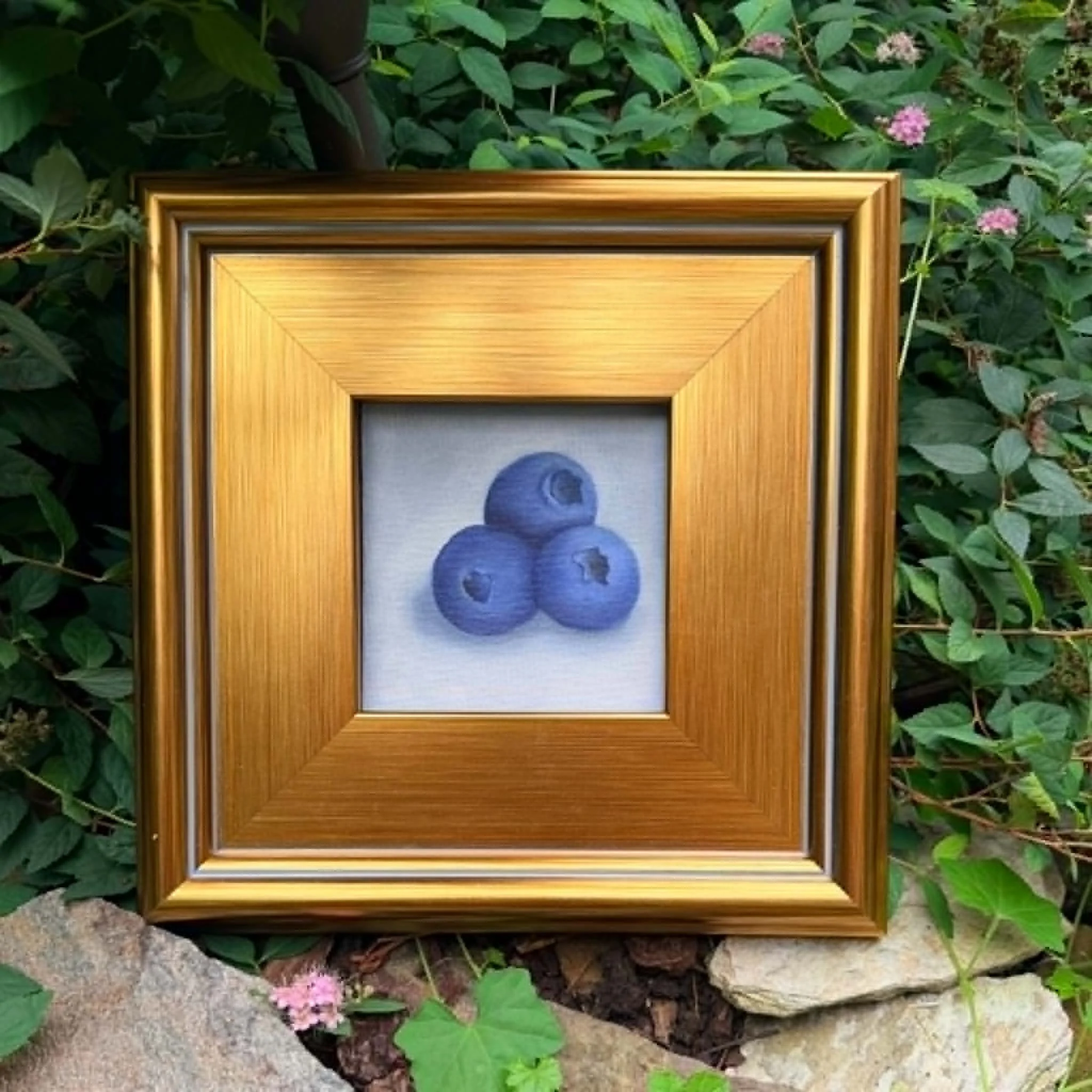 Small square blueberry oil painting shown on canvas, ready to frame or display as part of a collected wall.