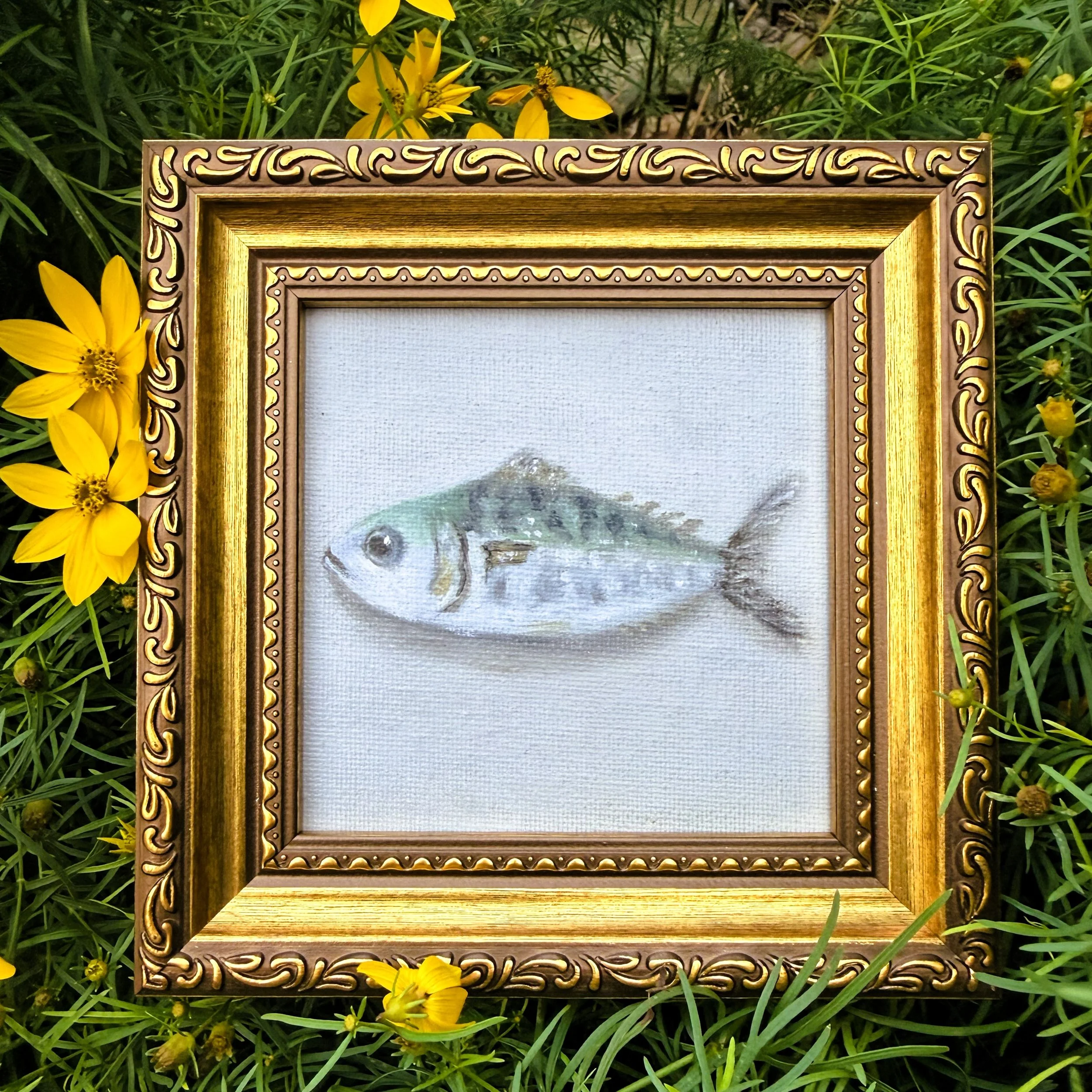 Small square fish oil painting shown on canvas board, ready to frame or display as part of a collected wall.