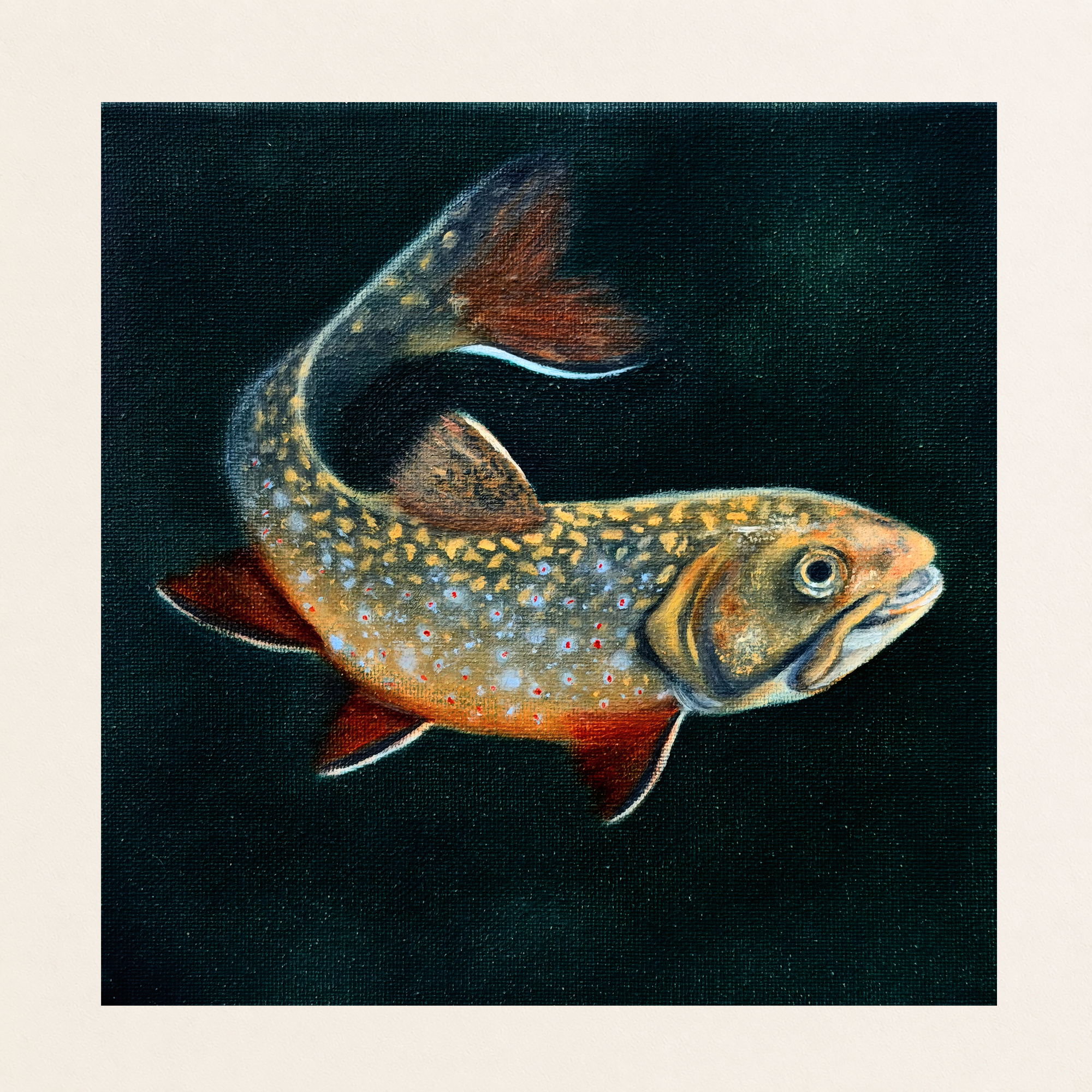 Brookie | Still Life Painting