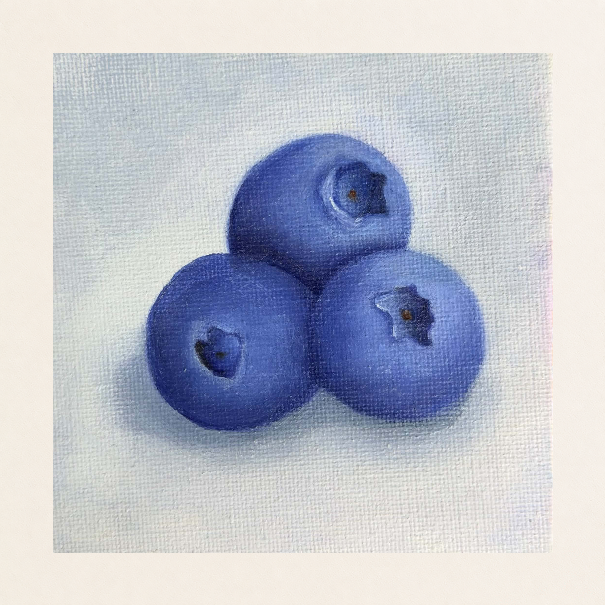 Blueberries on White | Still Life Painting