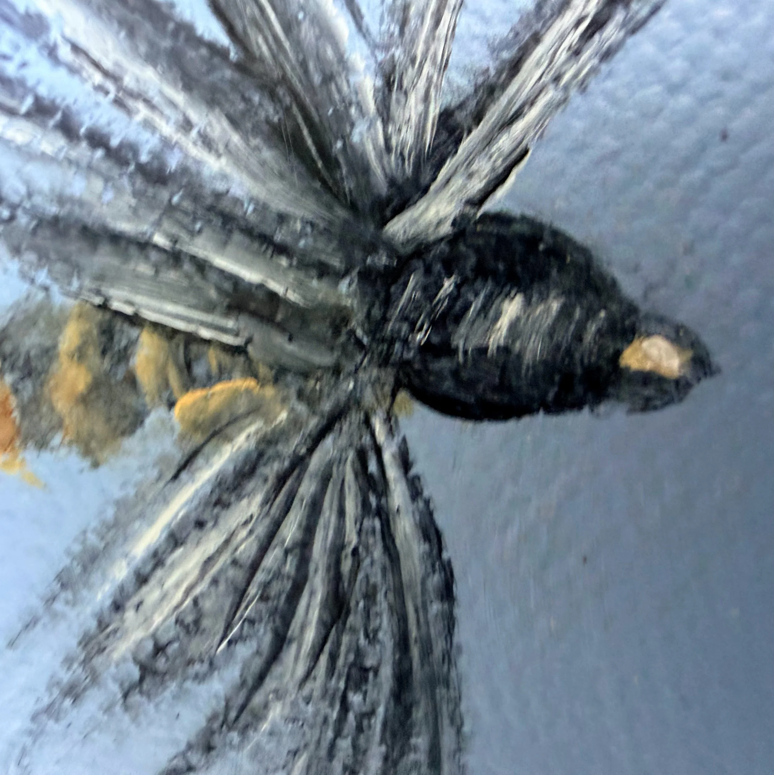 Close-up of a miniature fishing fly painted in oil with fine black feather-like brushwork, striped body detail, pale tail fibers, hook detail, and visible canvas texture.