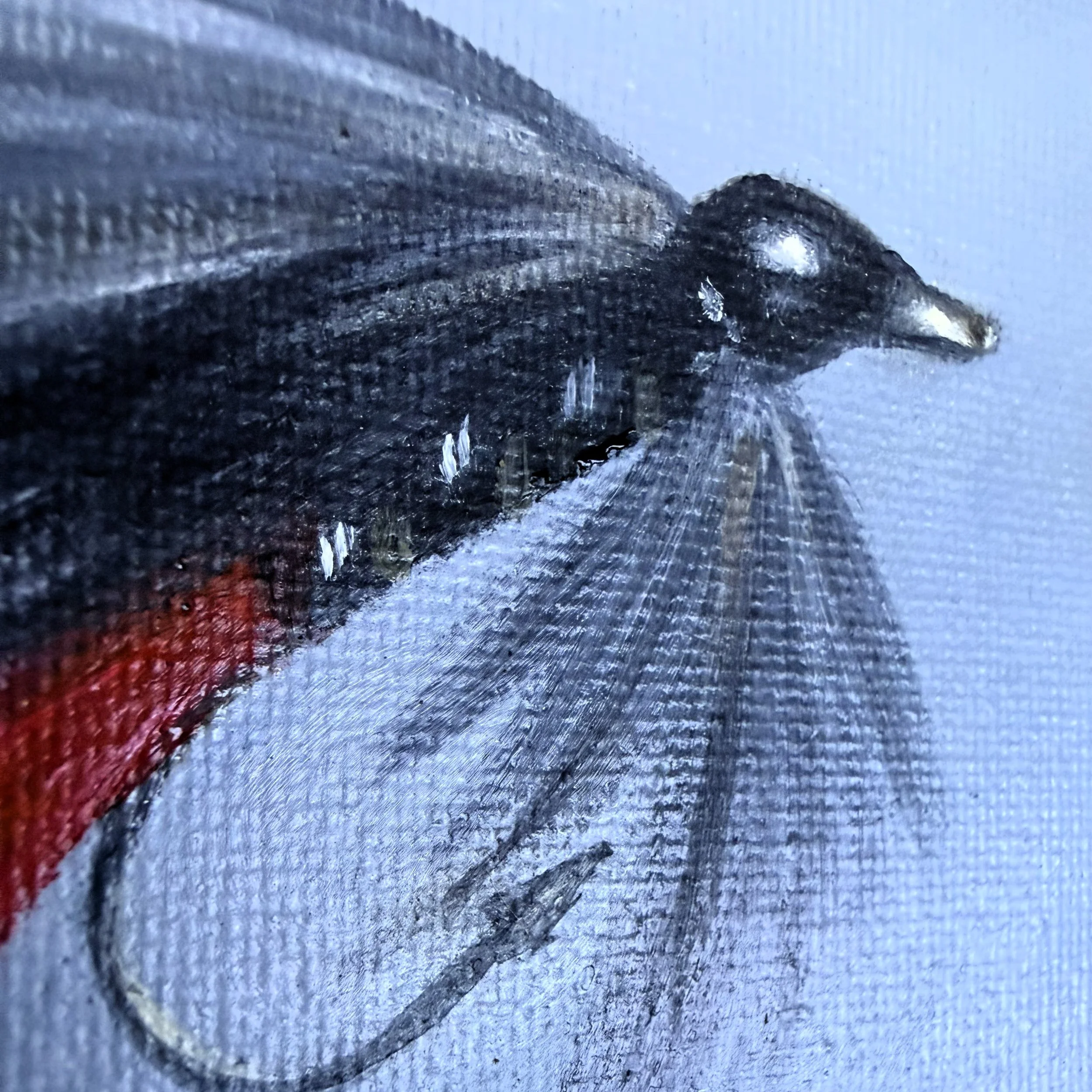 Close-up of a miniature fishing fly painted in oil with dark feather-like brushwork, translucent gray wing detail, vivid red tail fibers, hook detail, and visible canvas texture.