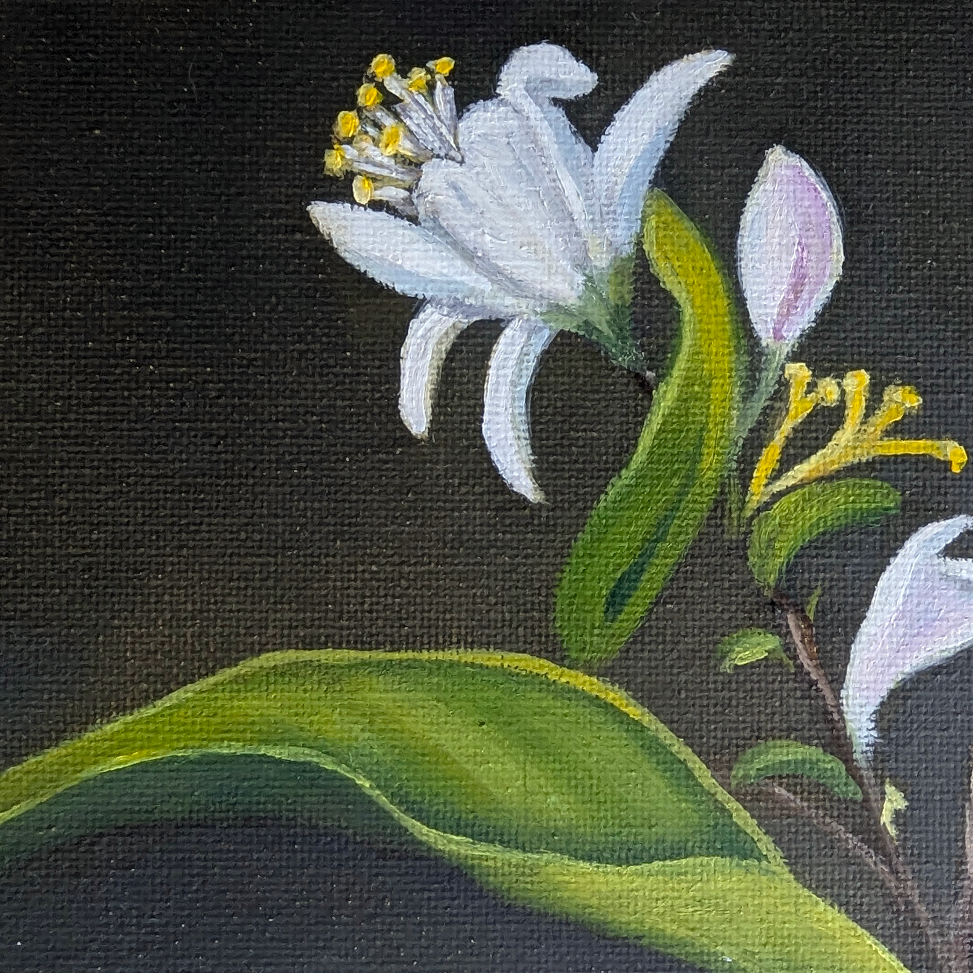 Lemon-detail3.png
