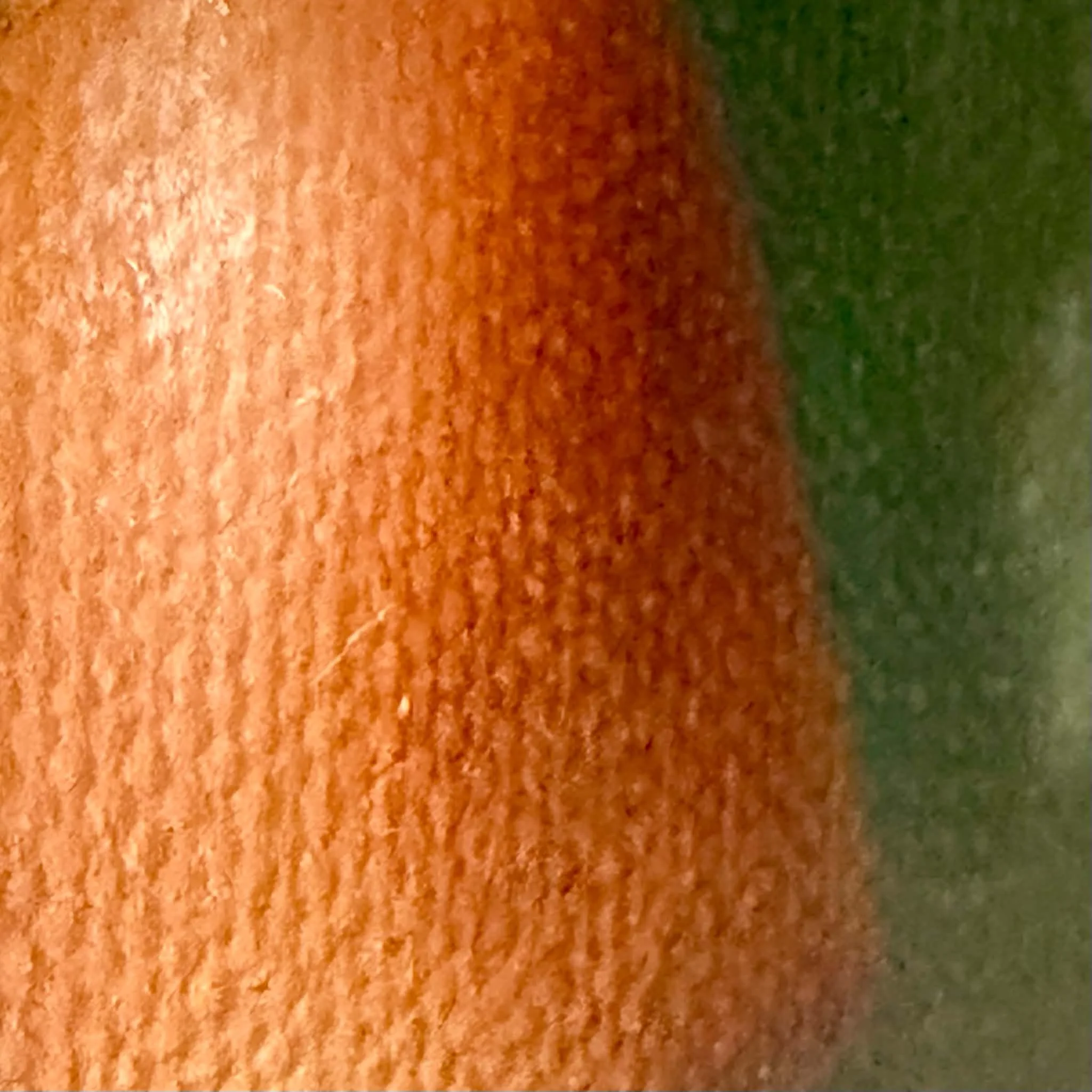9a73a6e8-c3d1-4d78-941b-d6c0c4a469a2.jpg