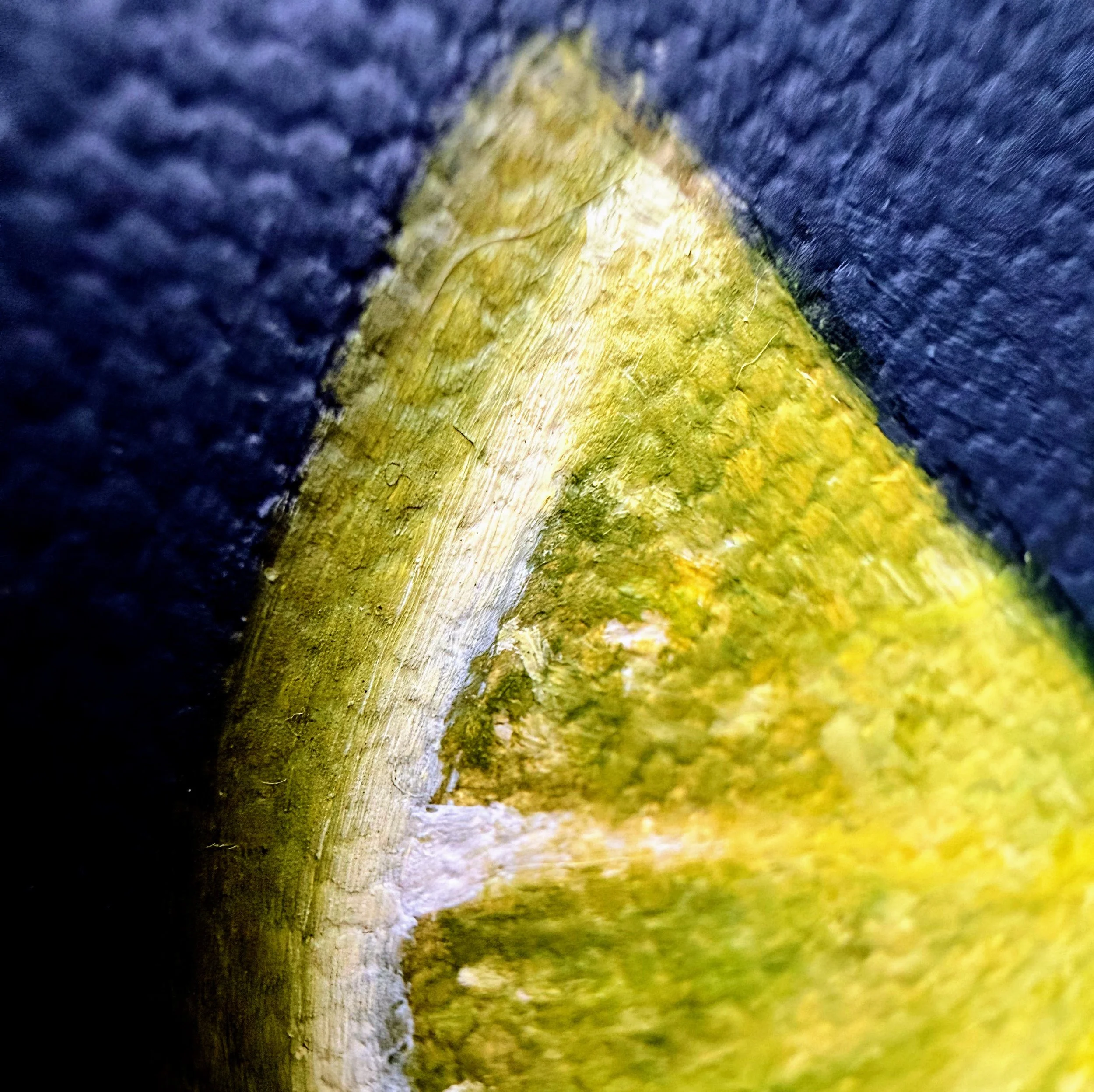 Close-up of a lime wedge painted in oil with bright green citrus sections, pale rind, scattered salt crystals, soft shadow, and visible canvas texture.
