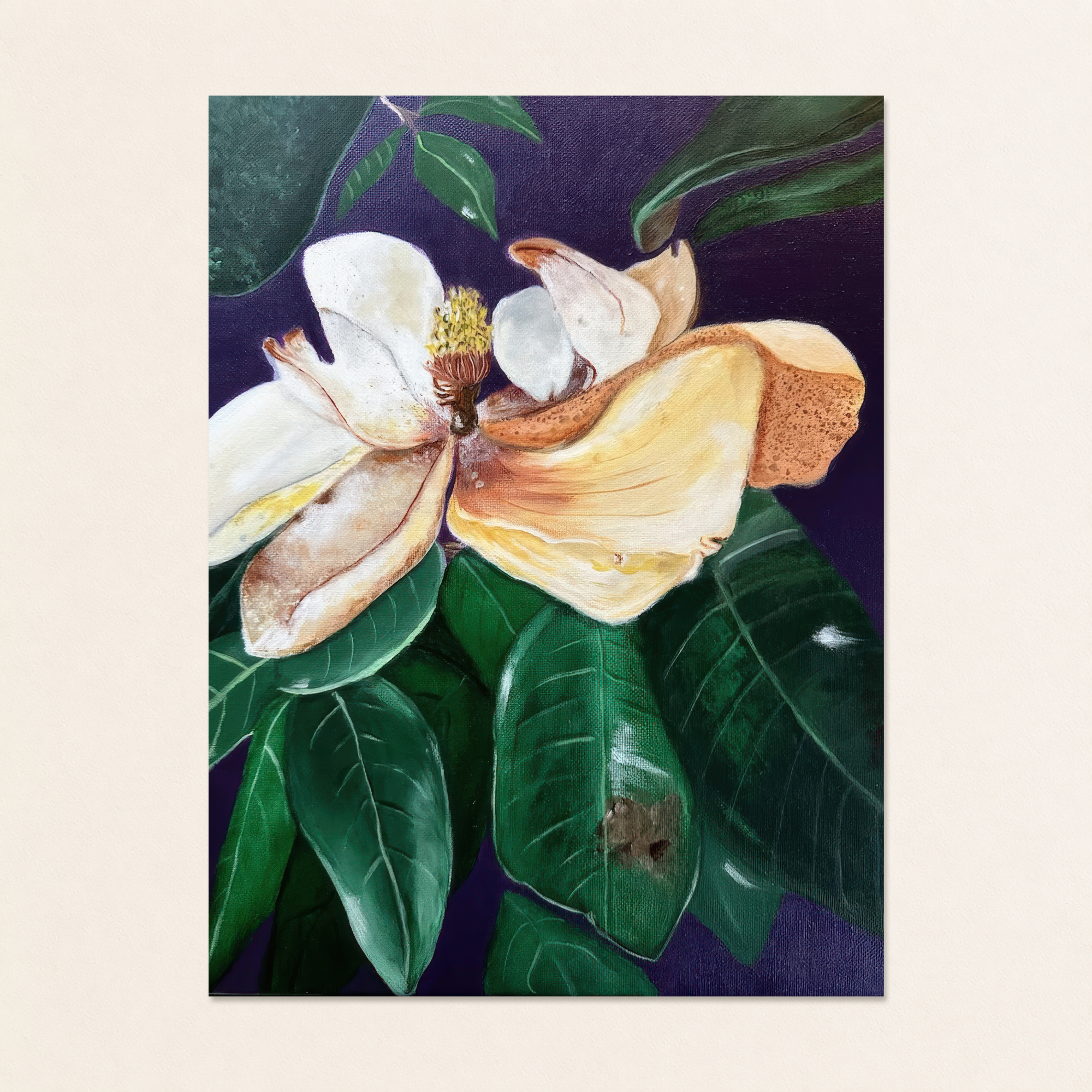 Magnolia Flower Wilting