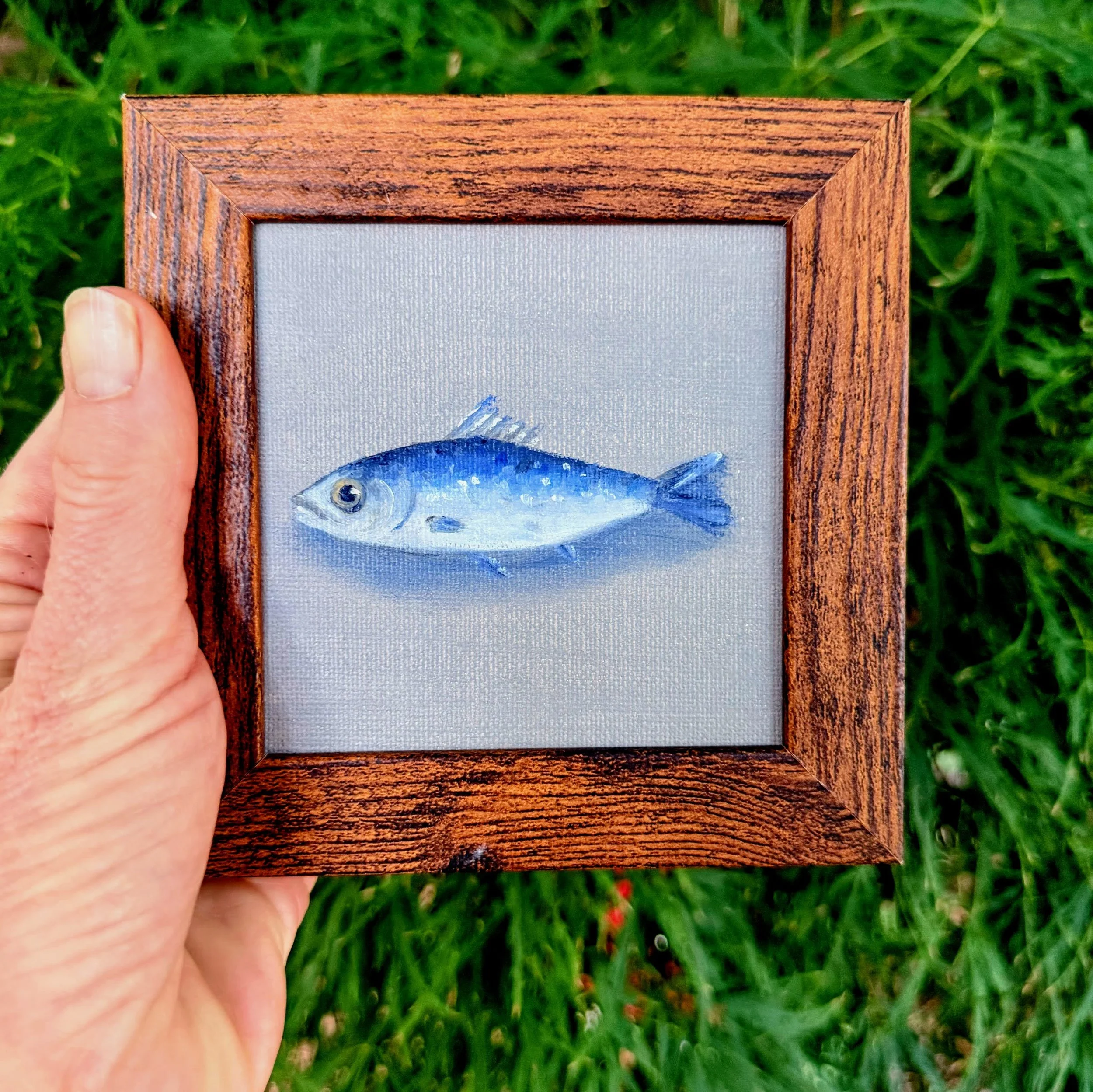 Close-up of a miniature sardine painted in oil with deep blue upper tones, pale silver body, loose brushwork, and visible canvas texture.