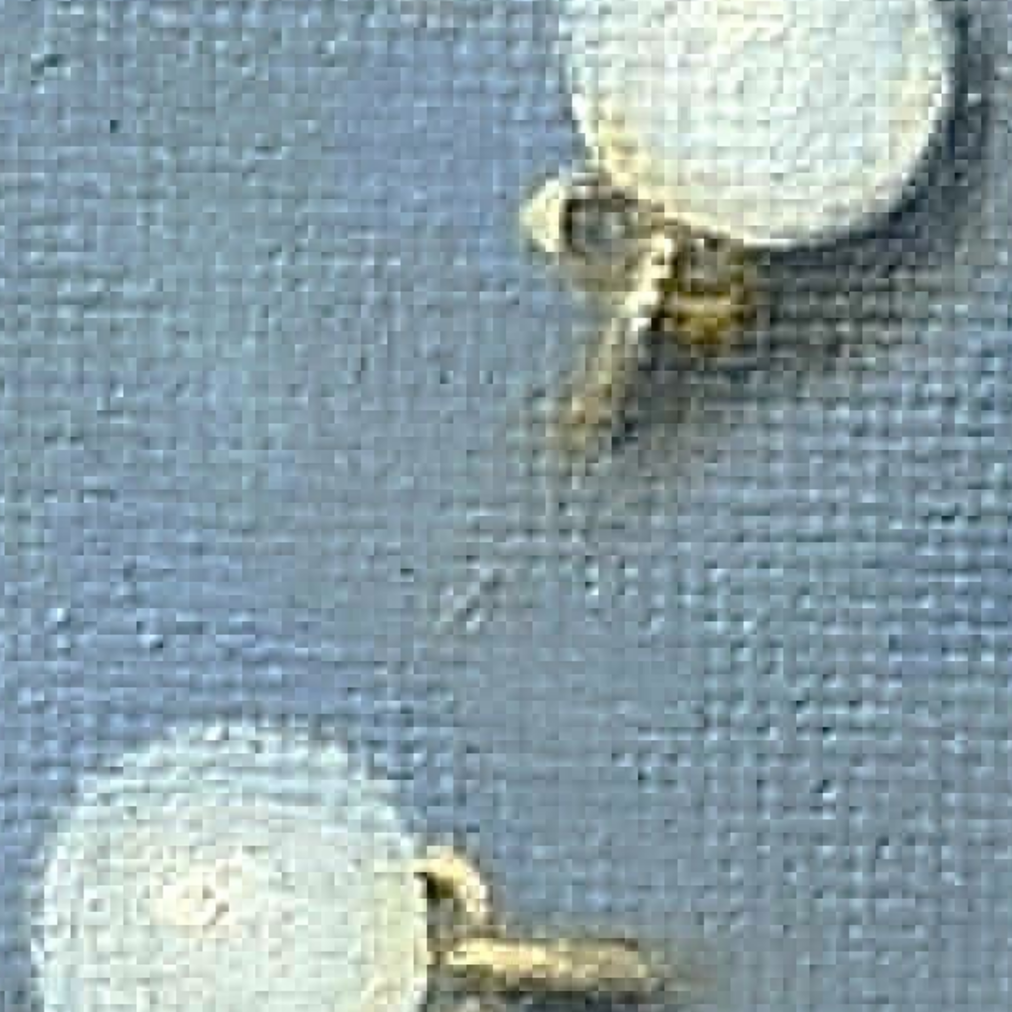 PearlDetail.png