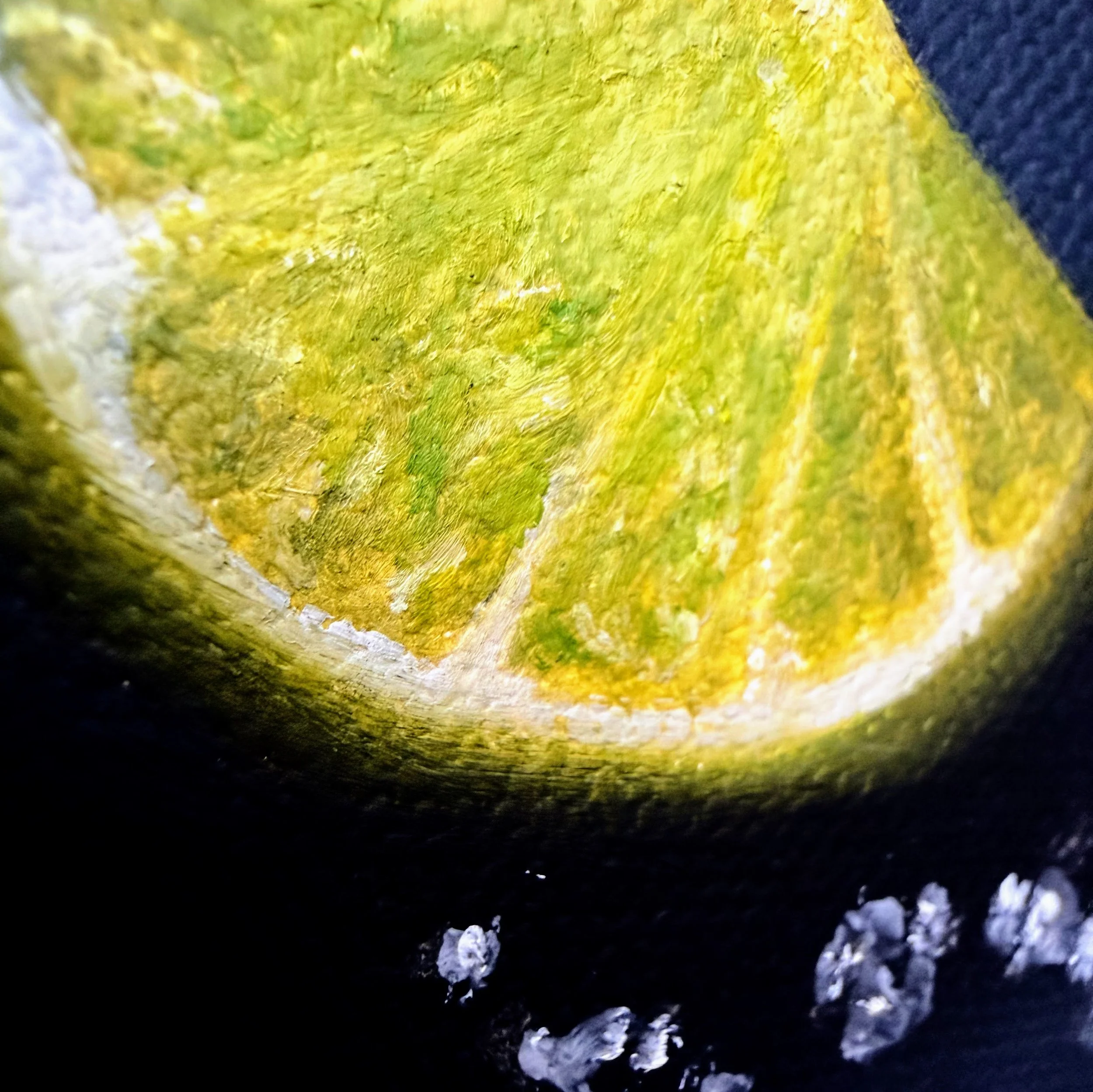 Close-up of a lime wedge painted in oil with bright green citrus sections, pale rind, scattered salt crystals, soft shadow, and visible canvas texture.