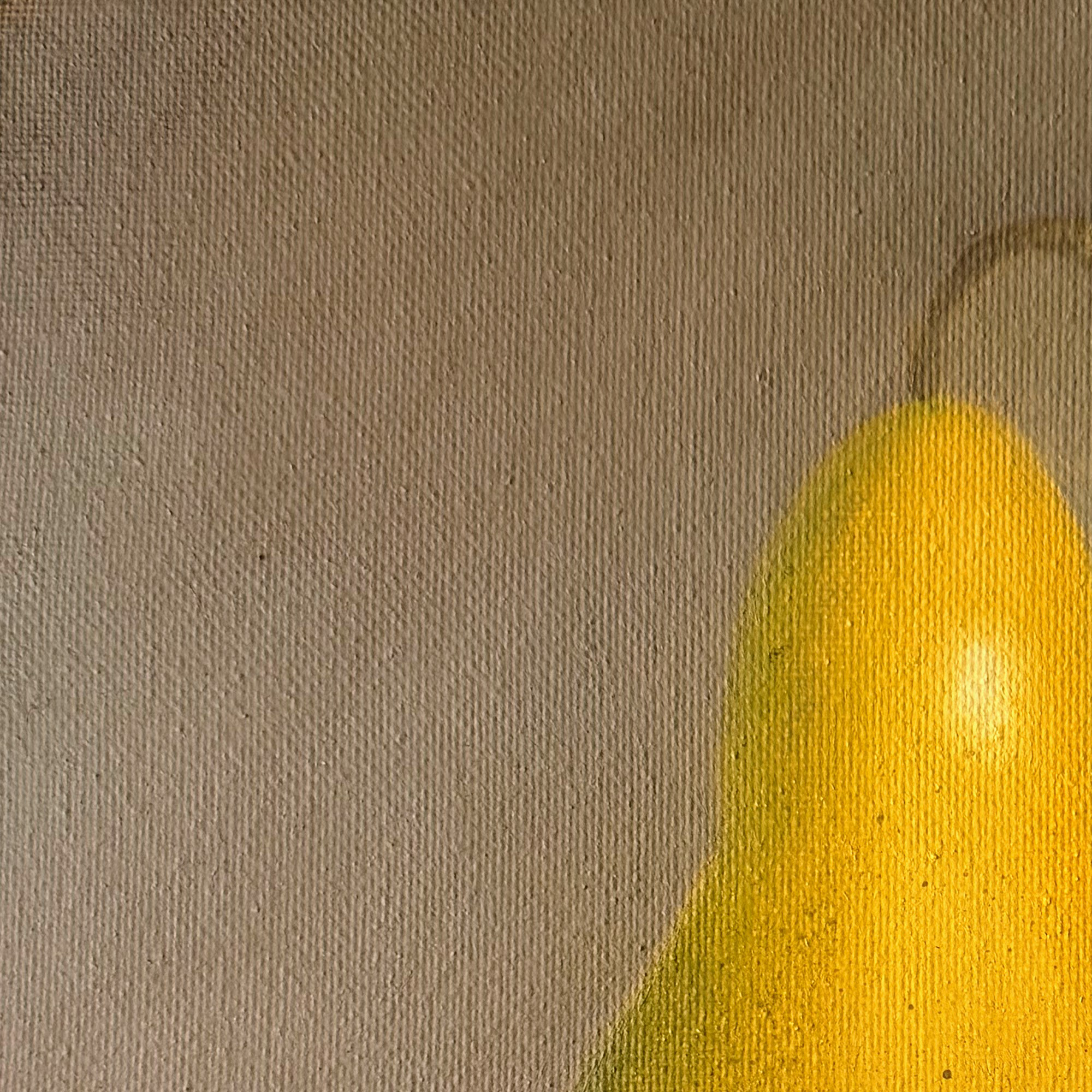pear-single-detail.png