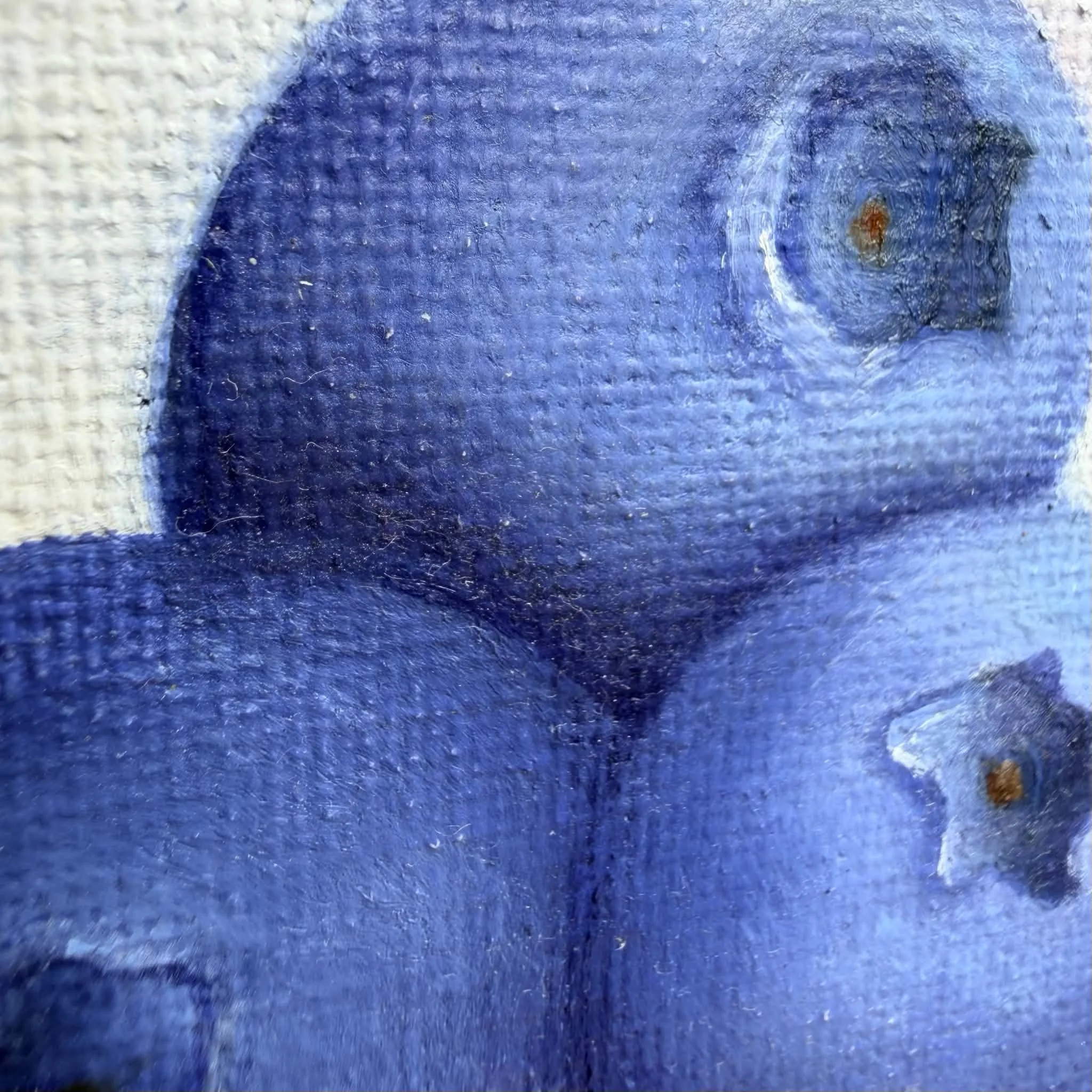 Close-up of three blueberries painted in oil with deep blue color, soft highlights, visible canvas texture, and subtle cool shadows.