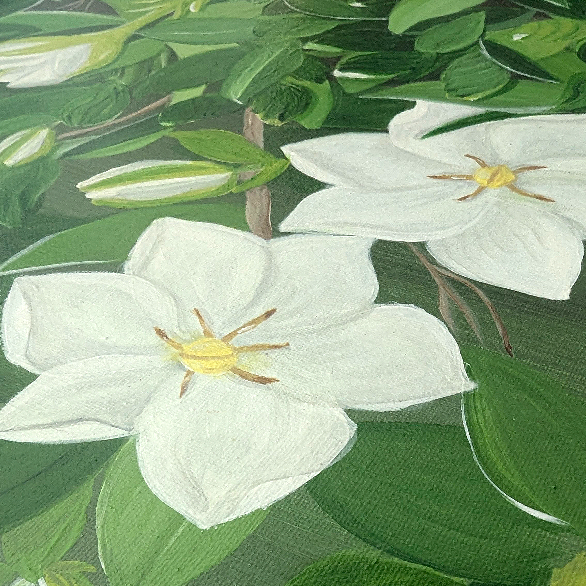 Gardenia-Flowers-detail2.png