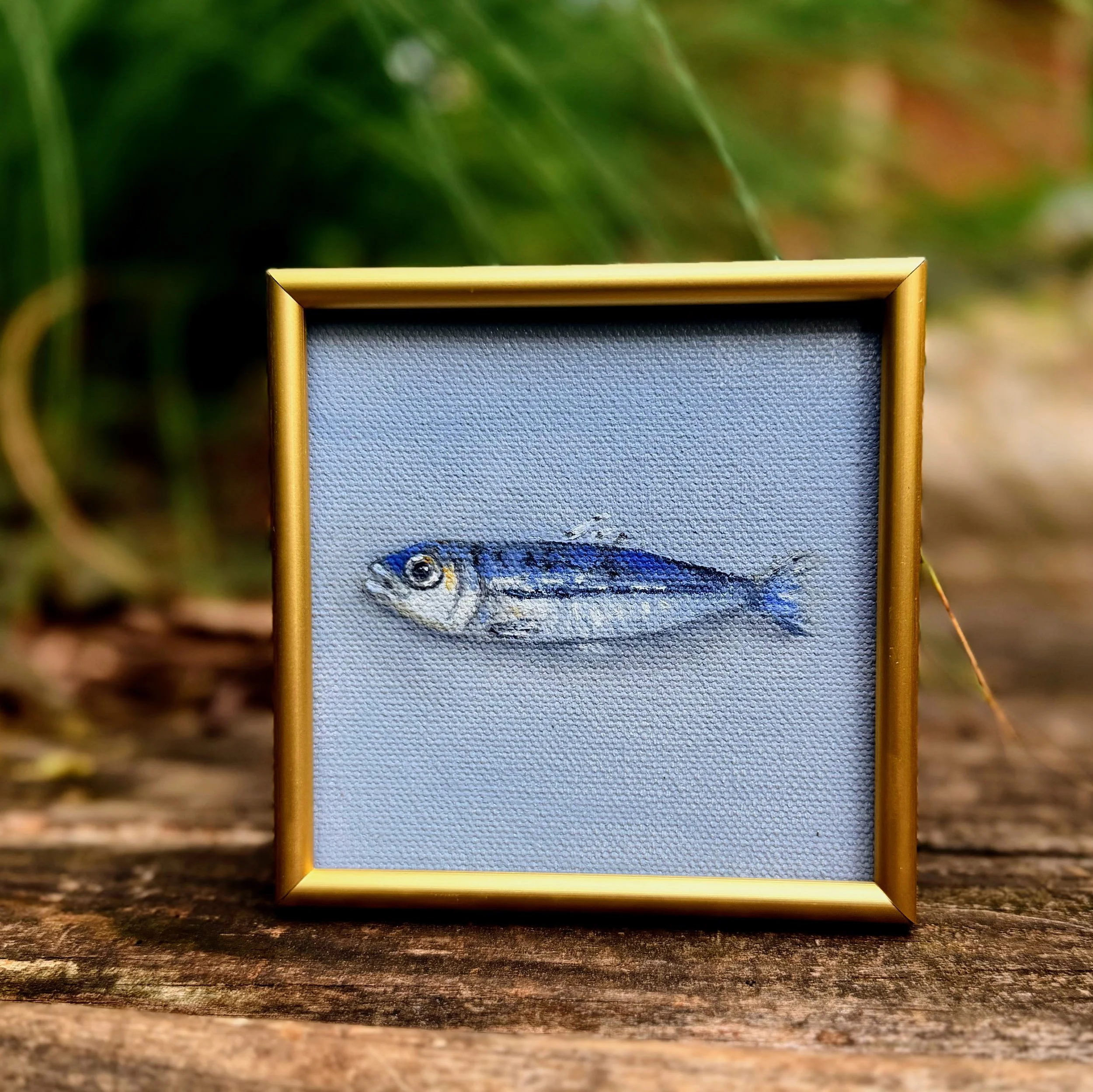 Small square anchovy oil painting shown on canvas board, ready to frame or display as part of a collected wall.