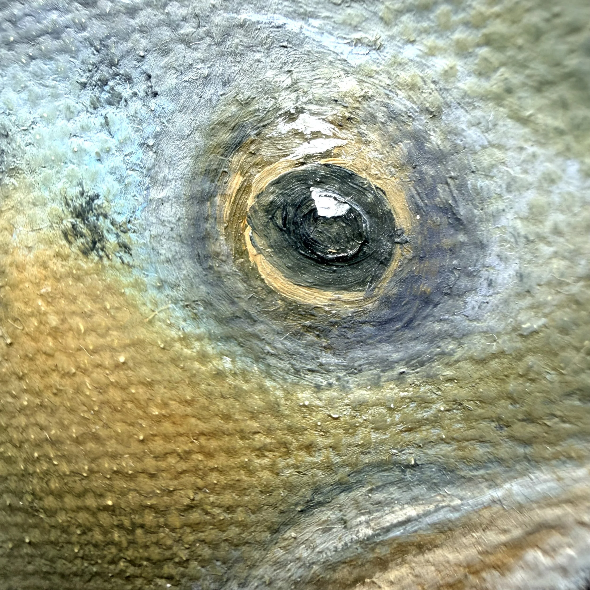 Close-up of a trout-like fish painted in oil with speckled markings, reflective highlights, a curled tail, and visible canvas texture.