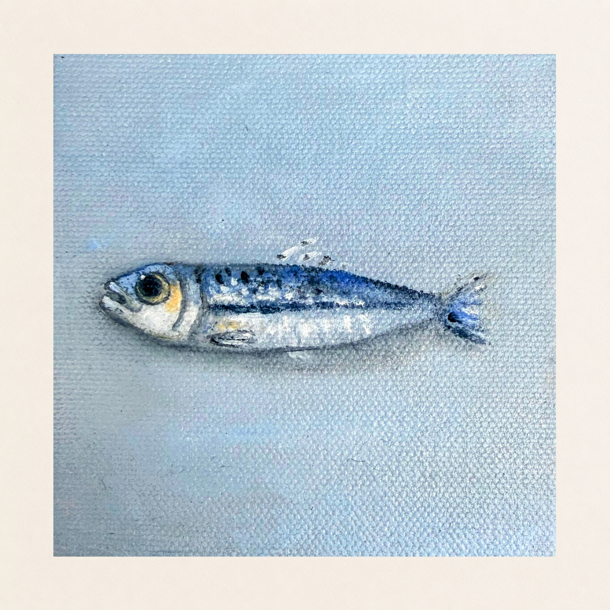 Original 4 x 4 inch oil painting of a small blue and silver anchovy with dark speckles and delicate fins against a softly textured pale blue background on canvas board.