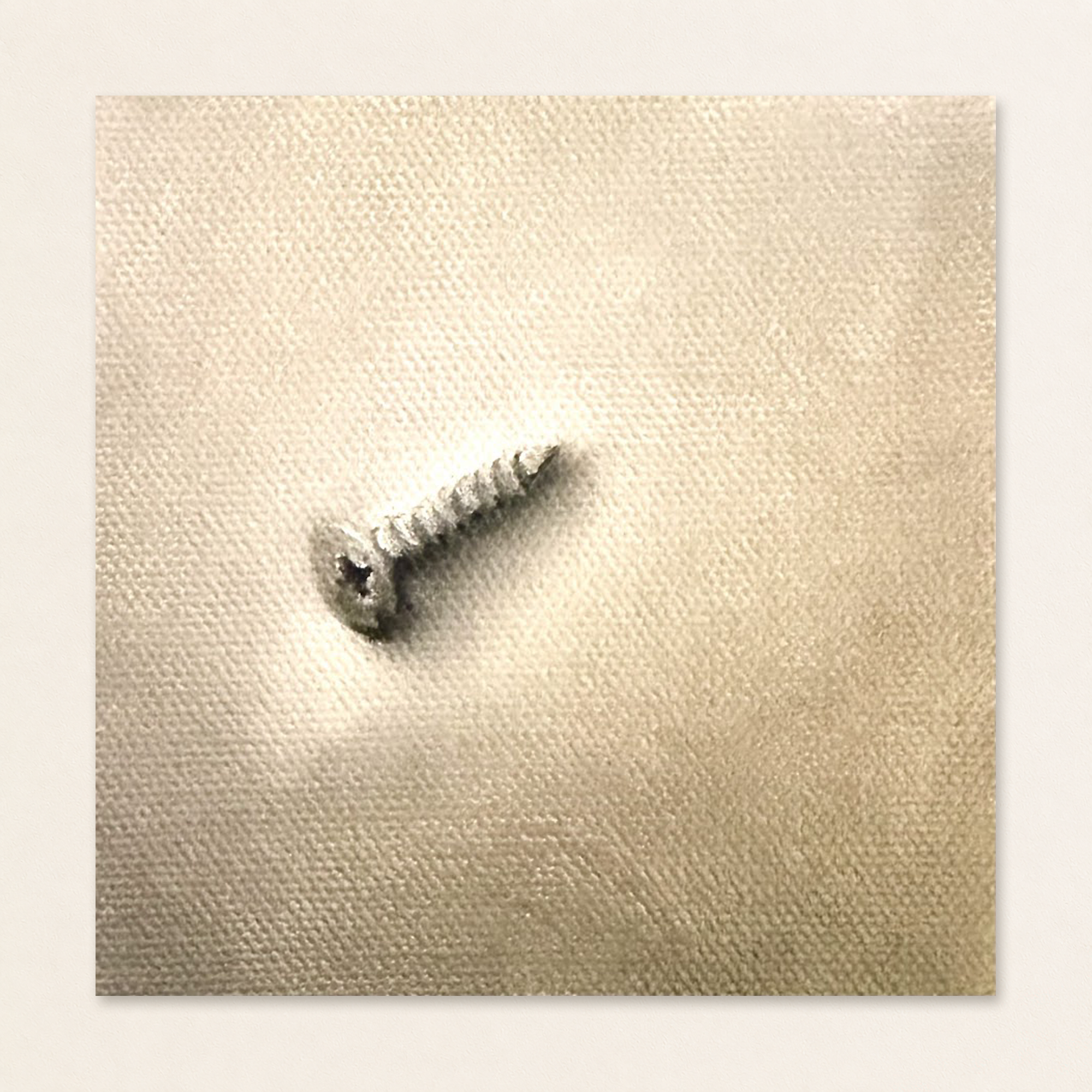 Loose Screw | Still Life