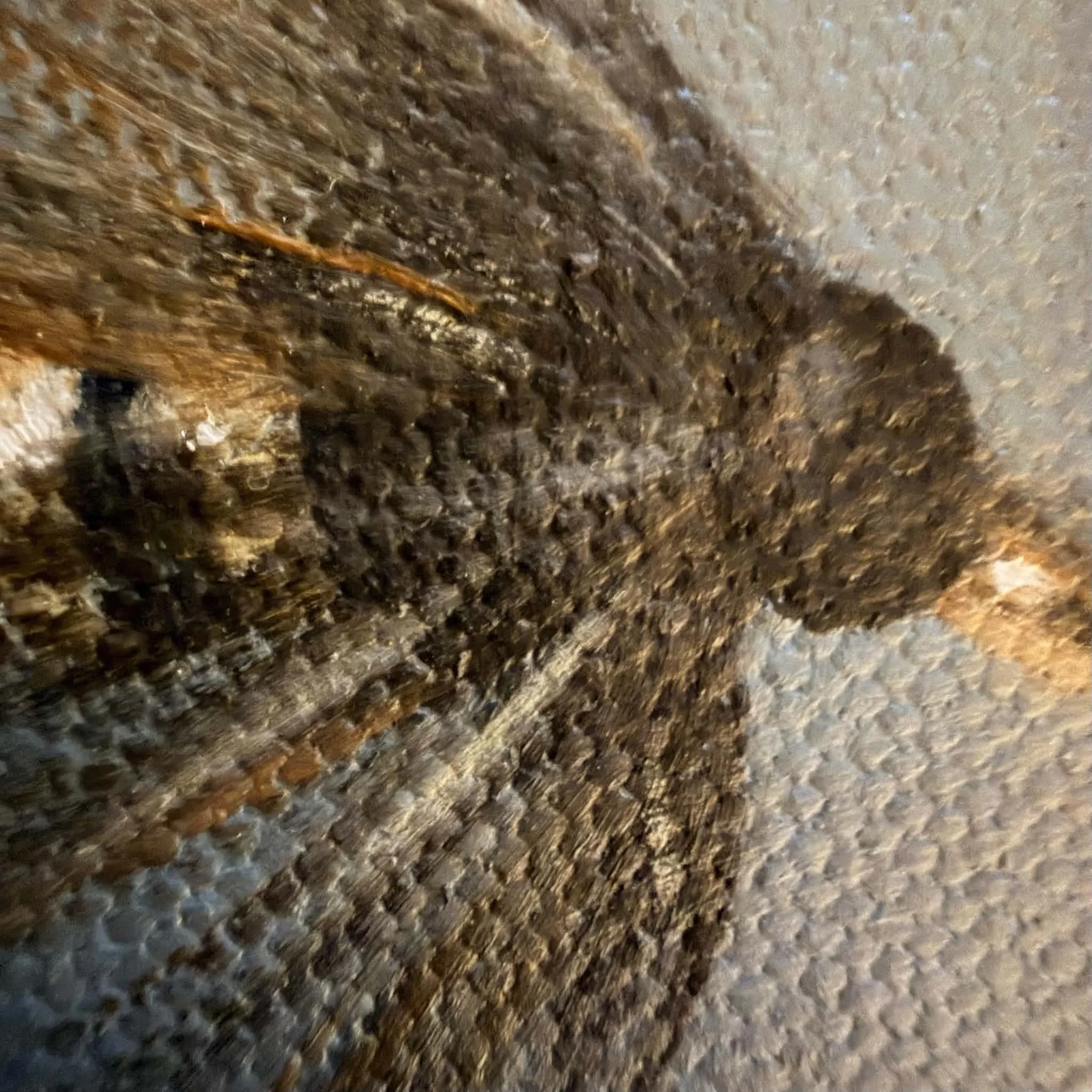 Close-up detail of Fly Fishing Lure Mini Still Life Painting showing oil brushwork, lure feathers, and blue canvas texture