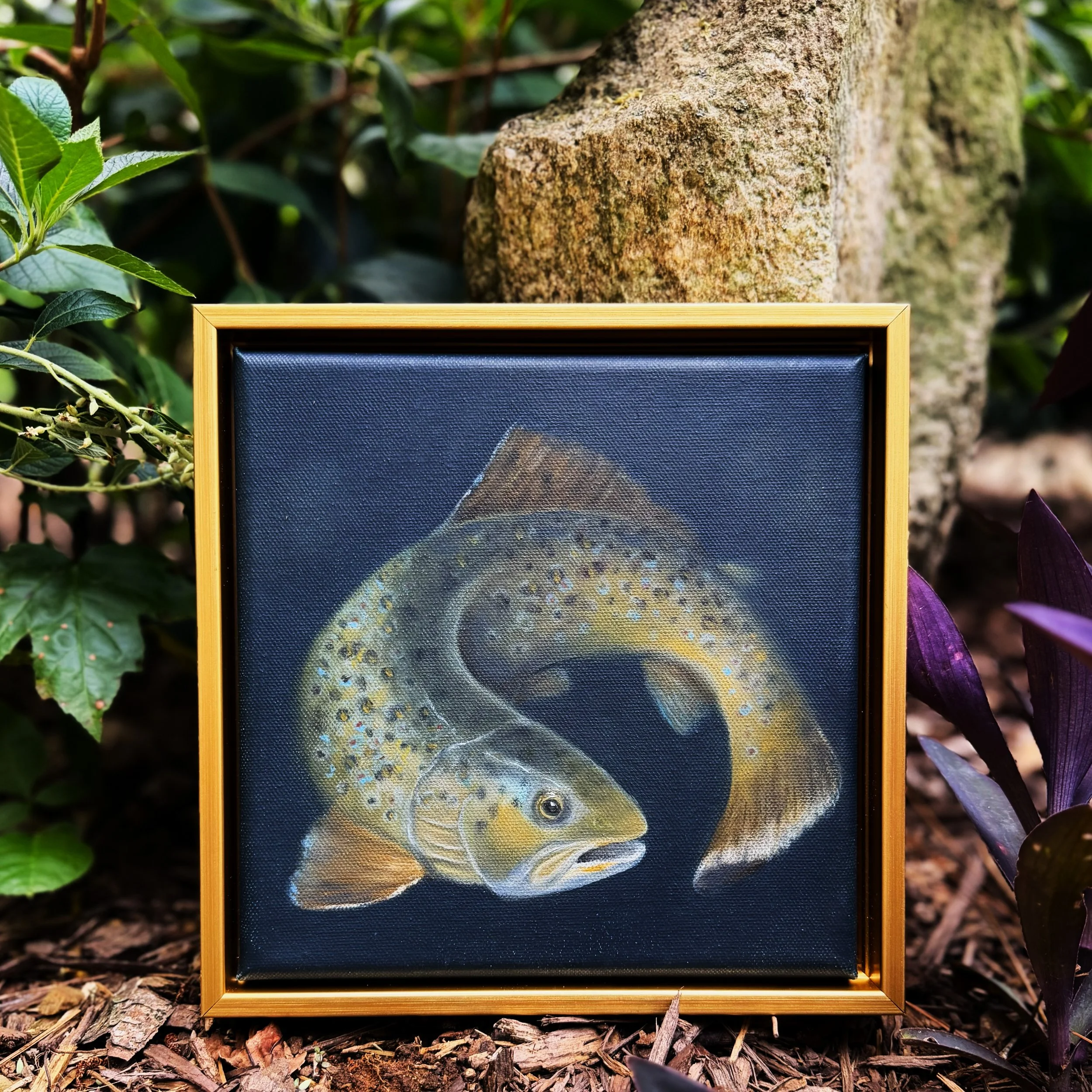 Square 8 x 8 inch original fish oil painting shown on canvas, ready to hang, frame, or display as part of a collected wall.