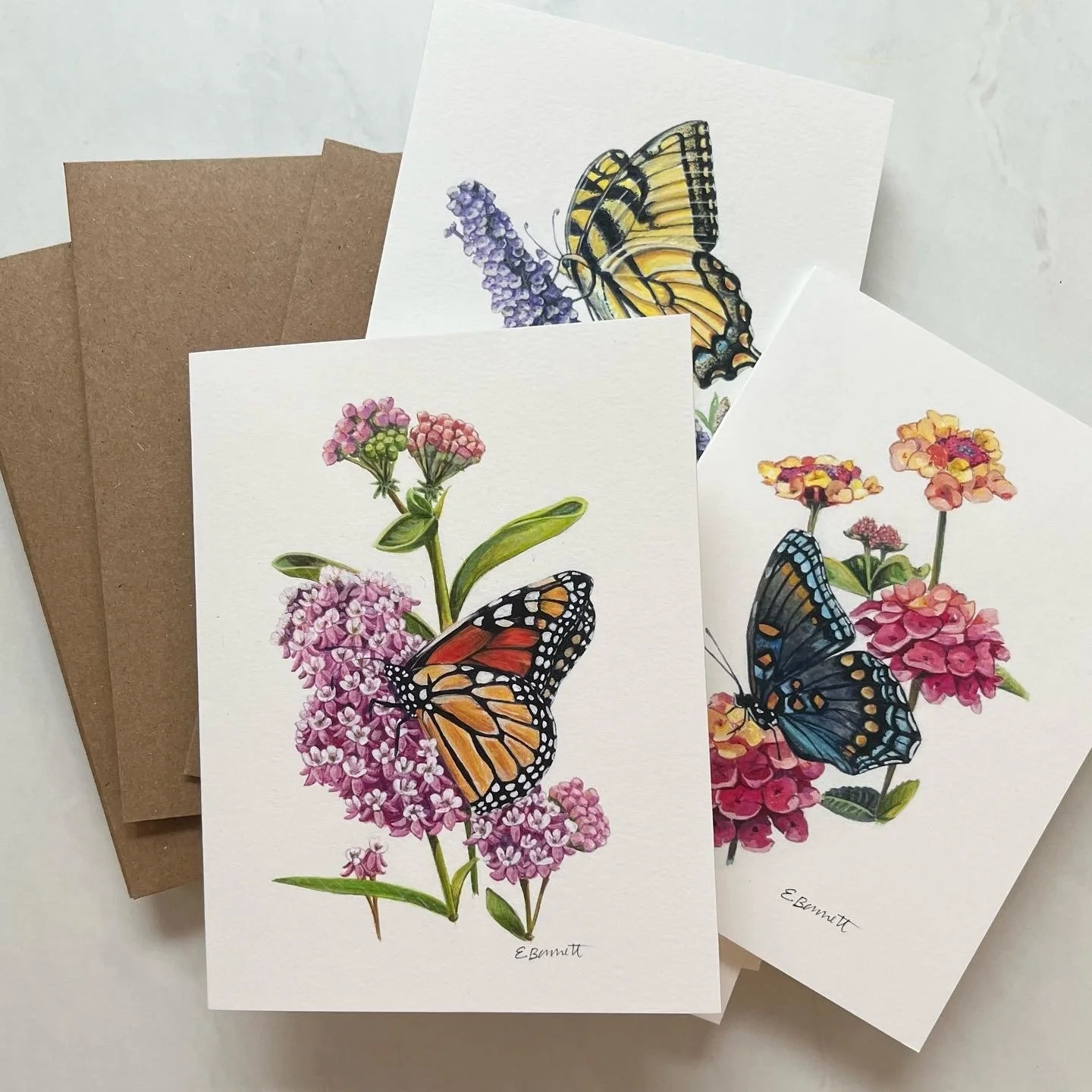 10-Piece Blank Butterfly Notecards