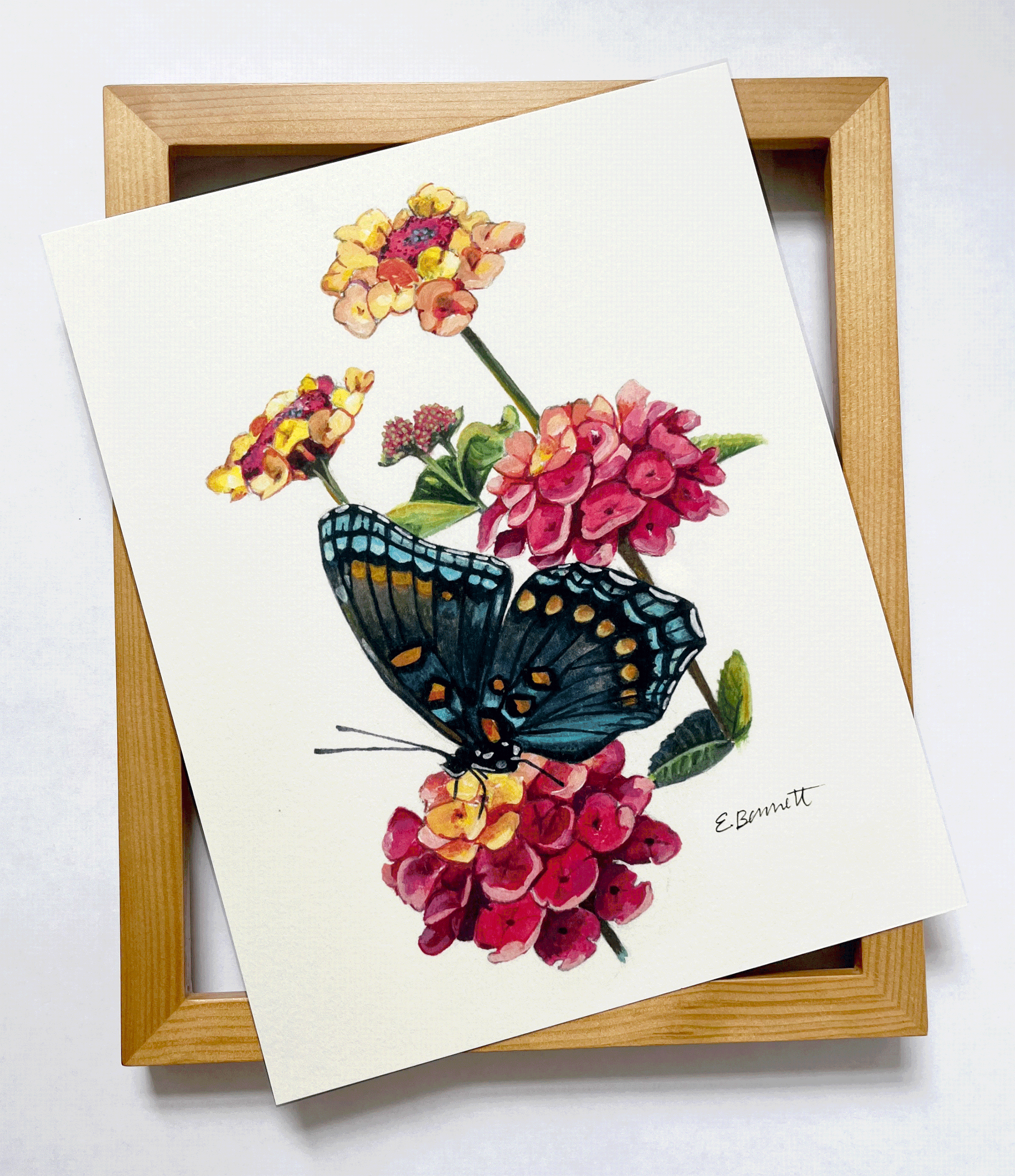 print-redspotted-corrected.gif