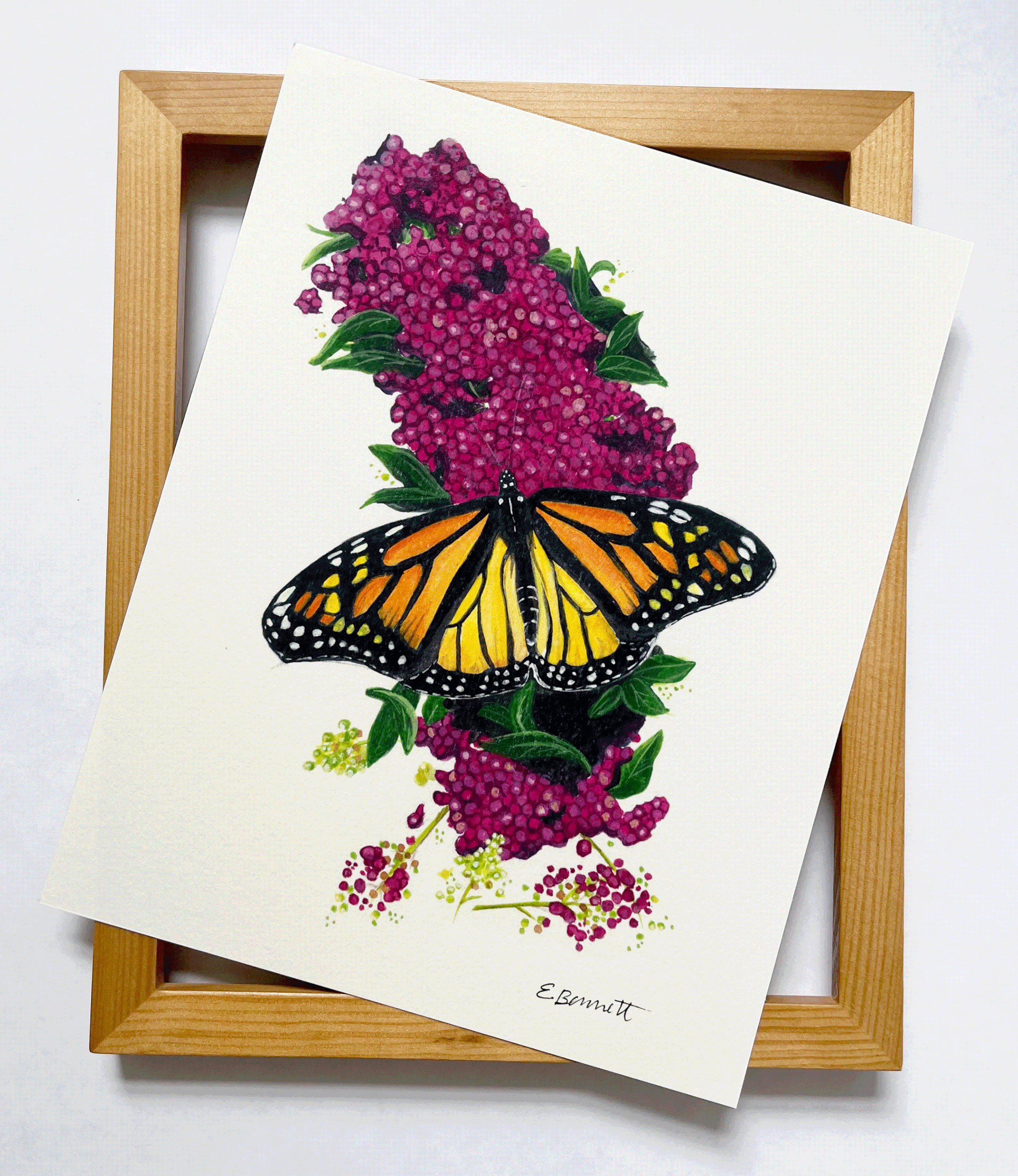 Butterfly Prints