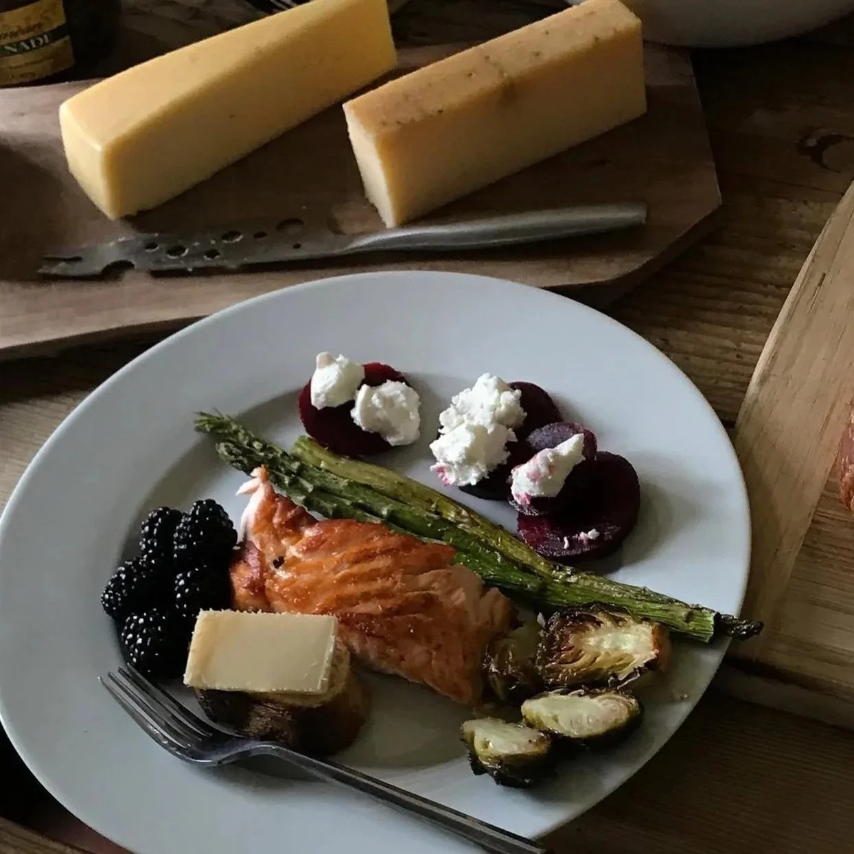 salmon 