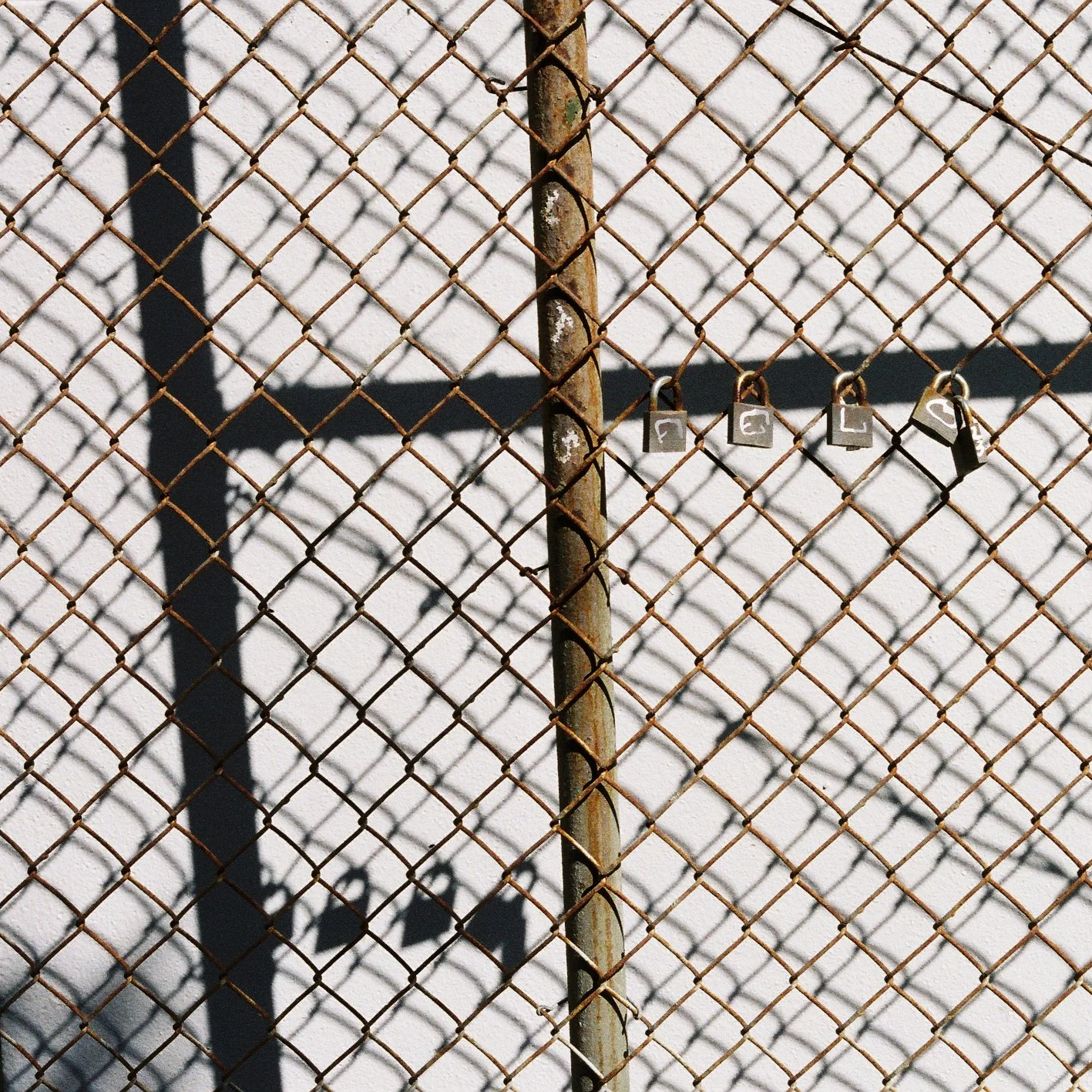 Predicting Punishment: Algorithmic Risk Assessment, Domain Distortion, and the Case for Democratic Oversight