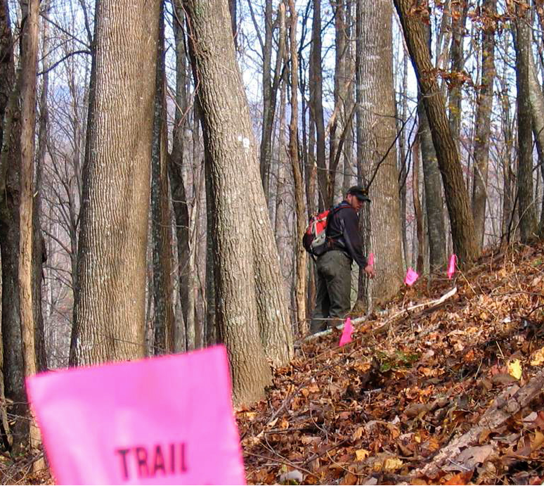 A person with a backpack field flagging a new trail with pink pin flags.