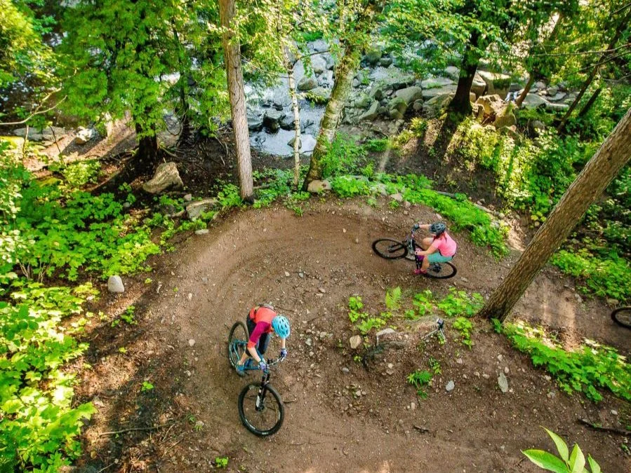 Two children riding mountain bikes on a dirt trail through a forest with green leaves and trees.