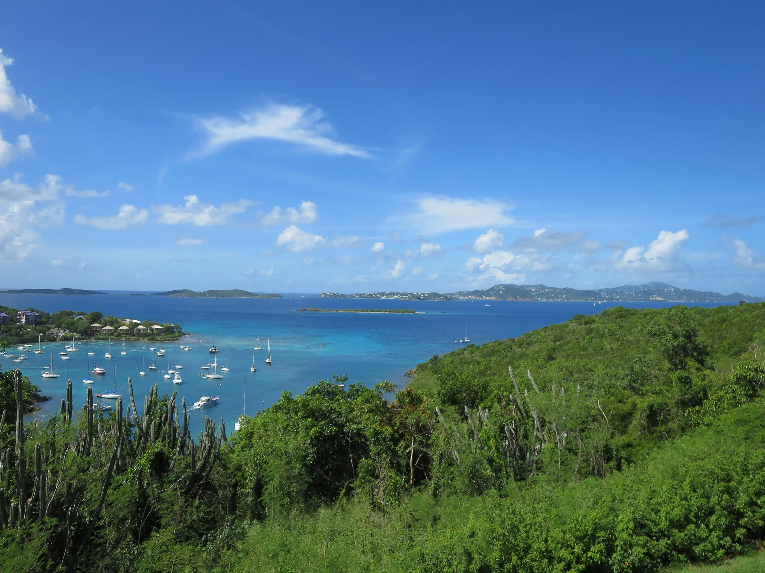A scenic view of a coastal area with several boats anchored in the water, lush green vegetation in the foreground, and a clear blue sky with some clouds.