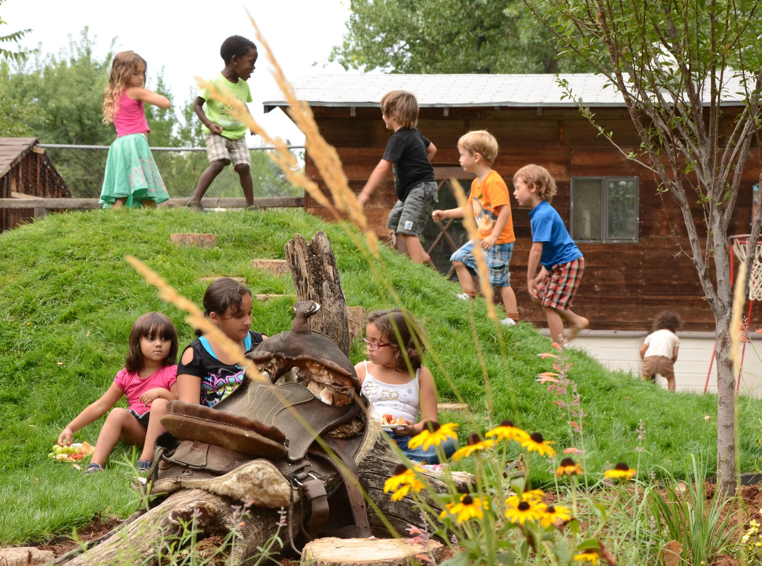 Children playing outdoors on a grassy hillside, some sitting and some climbing, with trees and a wooden building in the background at New Horizons Cooperative Preschool.