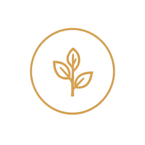 Minimalist icon of a plant with three leaves inside a circle on a black background.