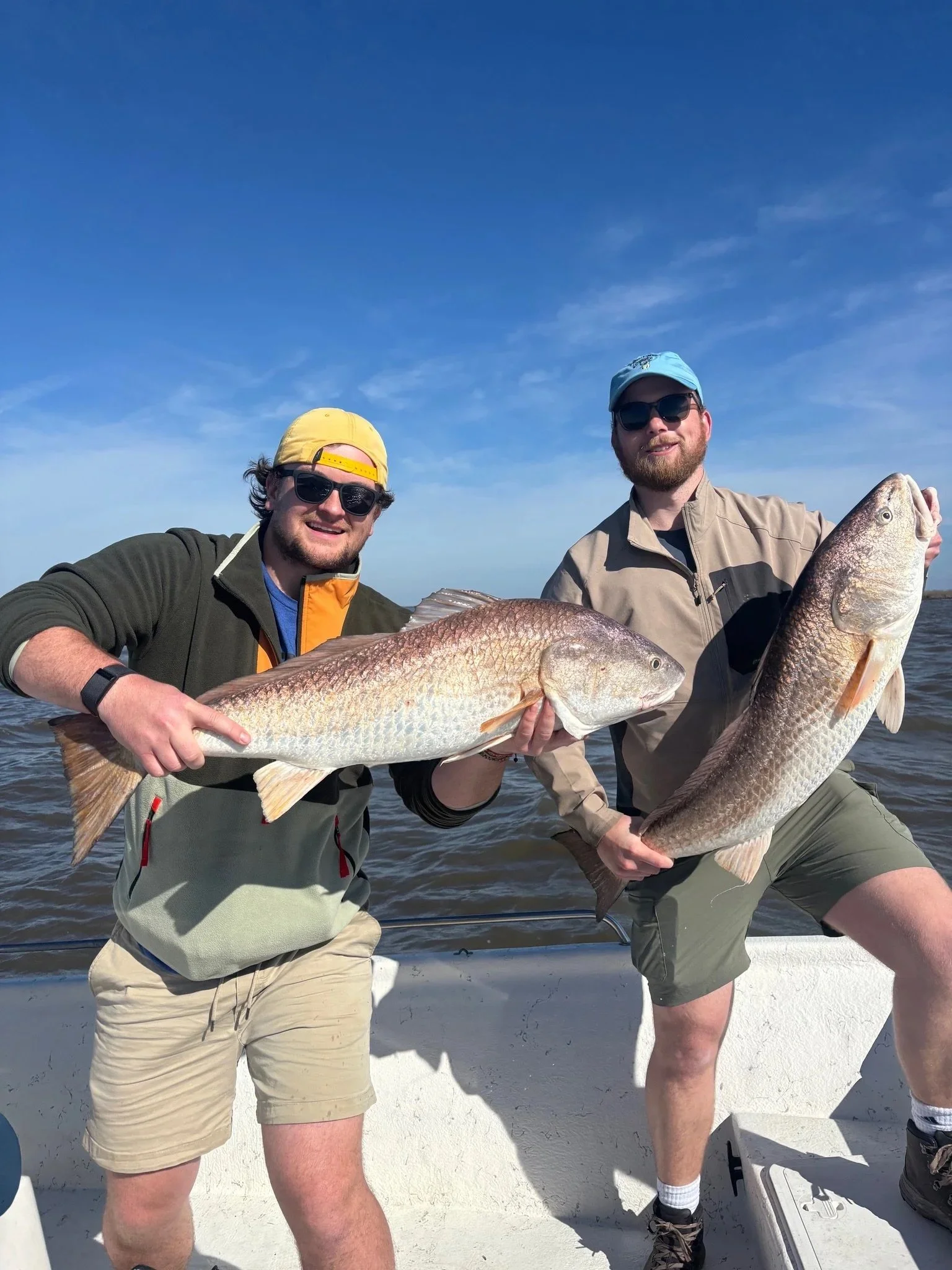 Bull Red Trip