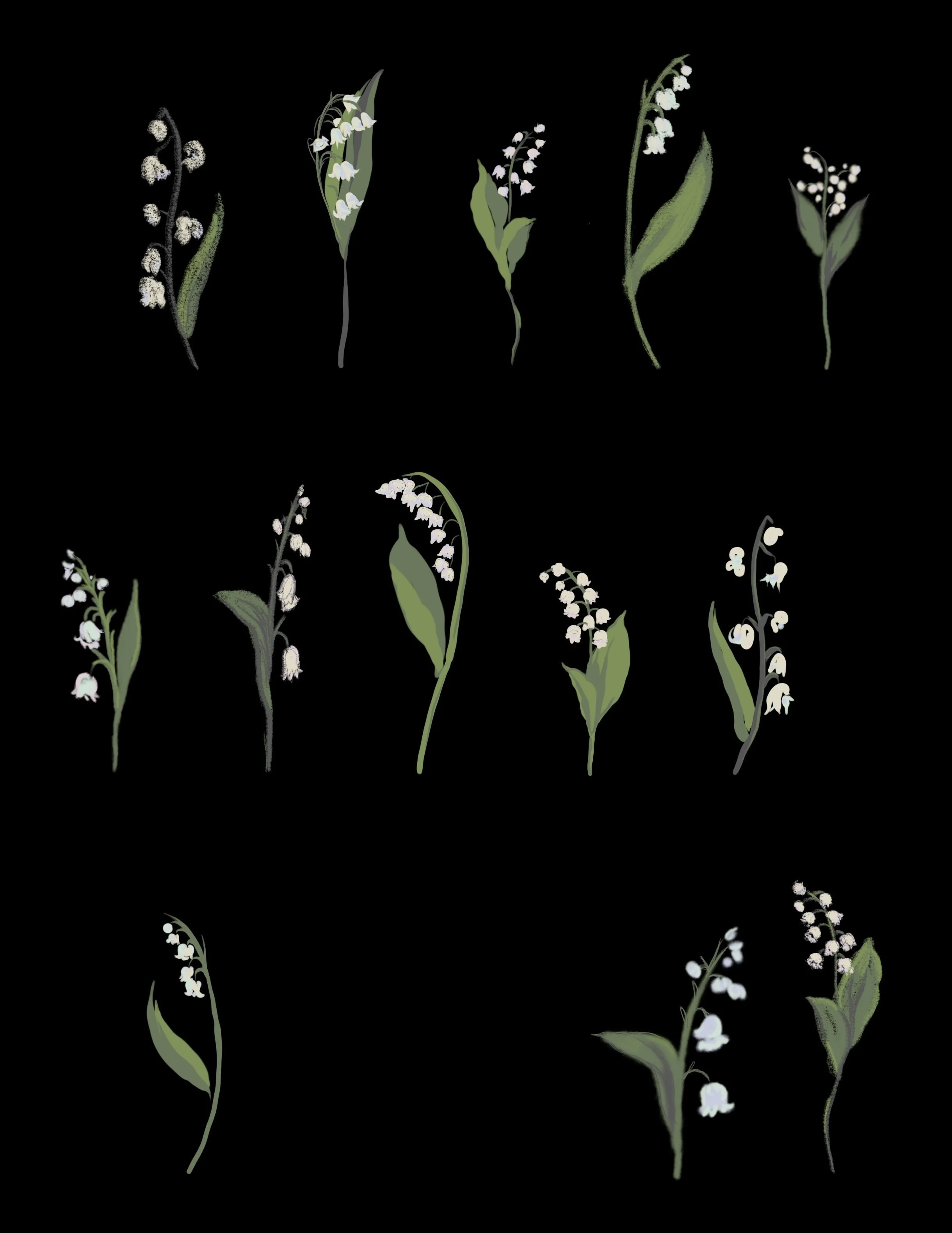 Flower.jpg