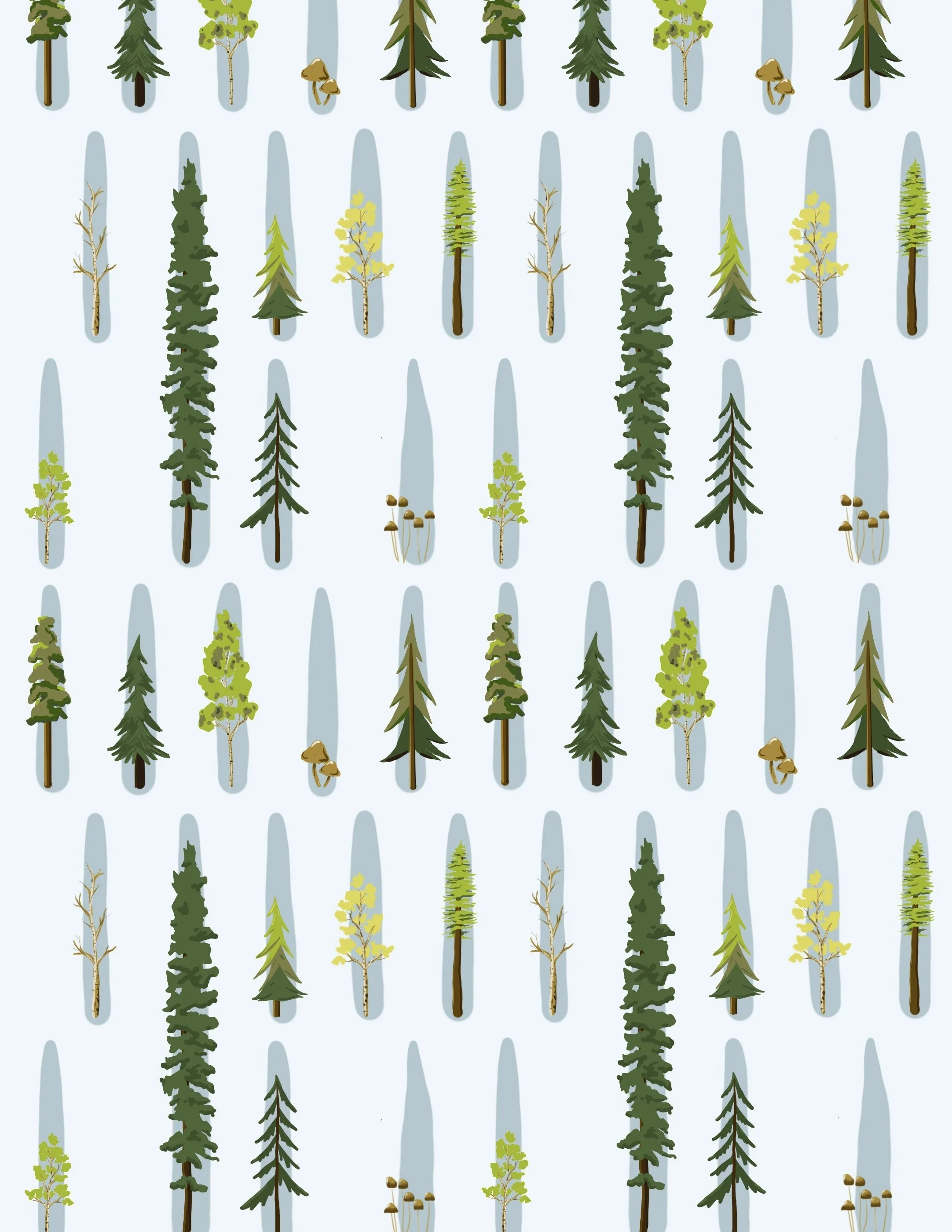 Tree.jpg