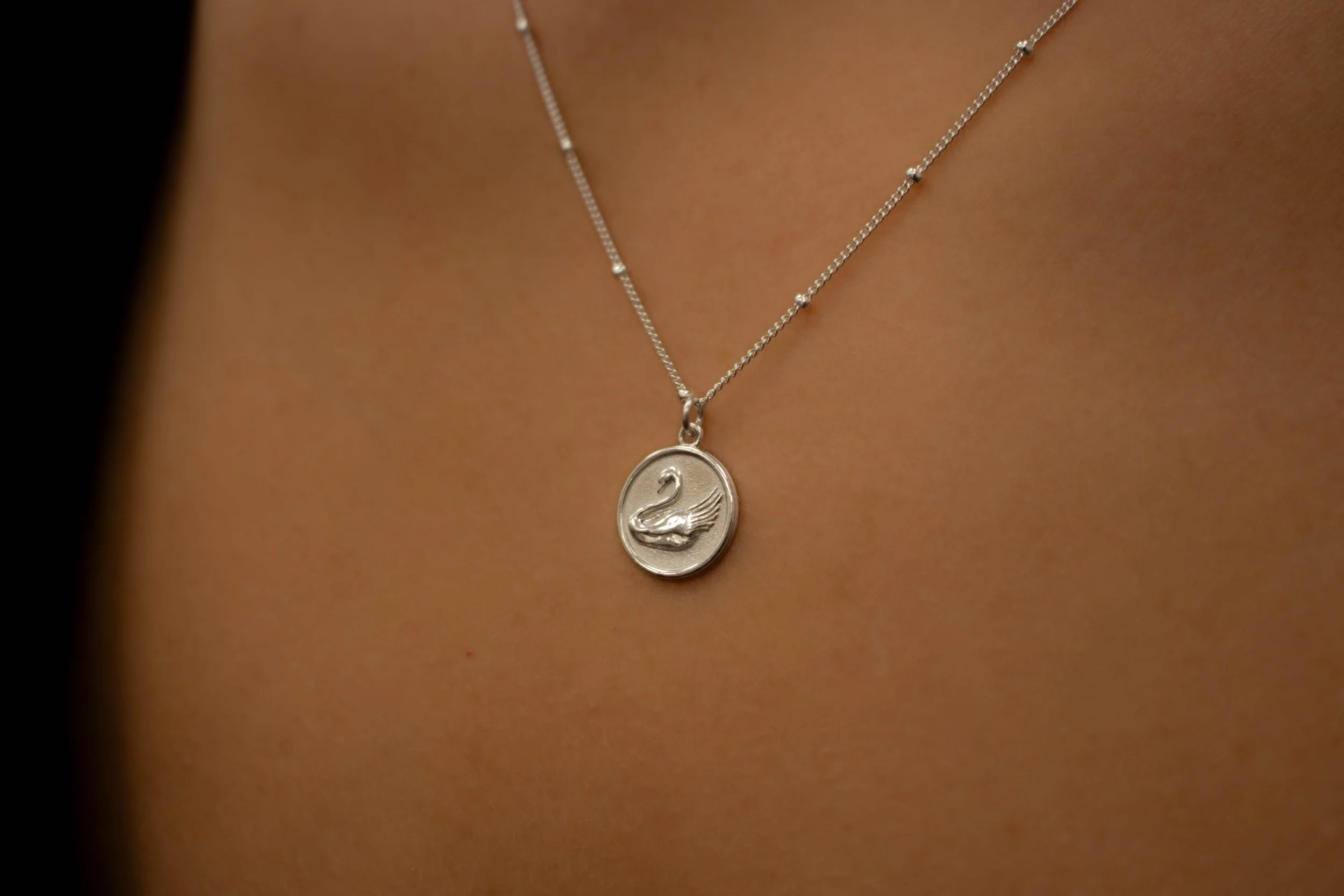 Swan (1 of 1).jpg