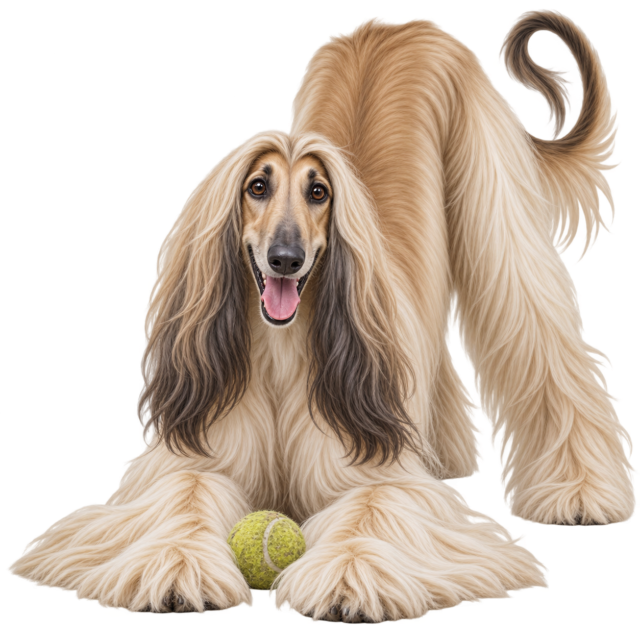 Doggy Notepad