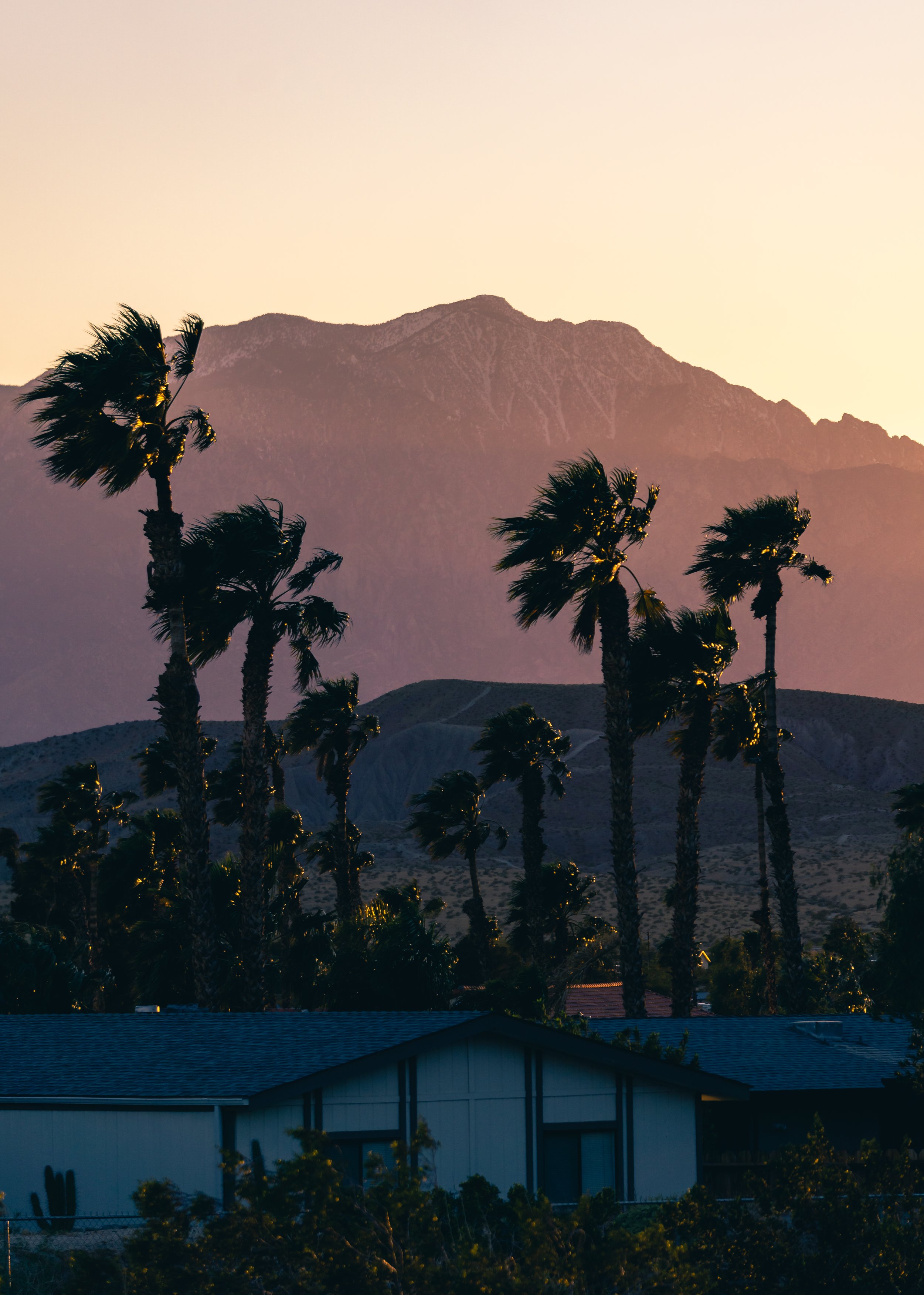 Landscape of palm trees in front of mountains during sunset, with a house with a blue roof in the foreground.