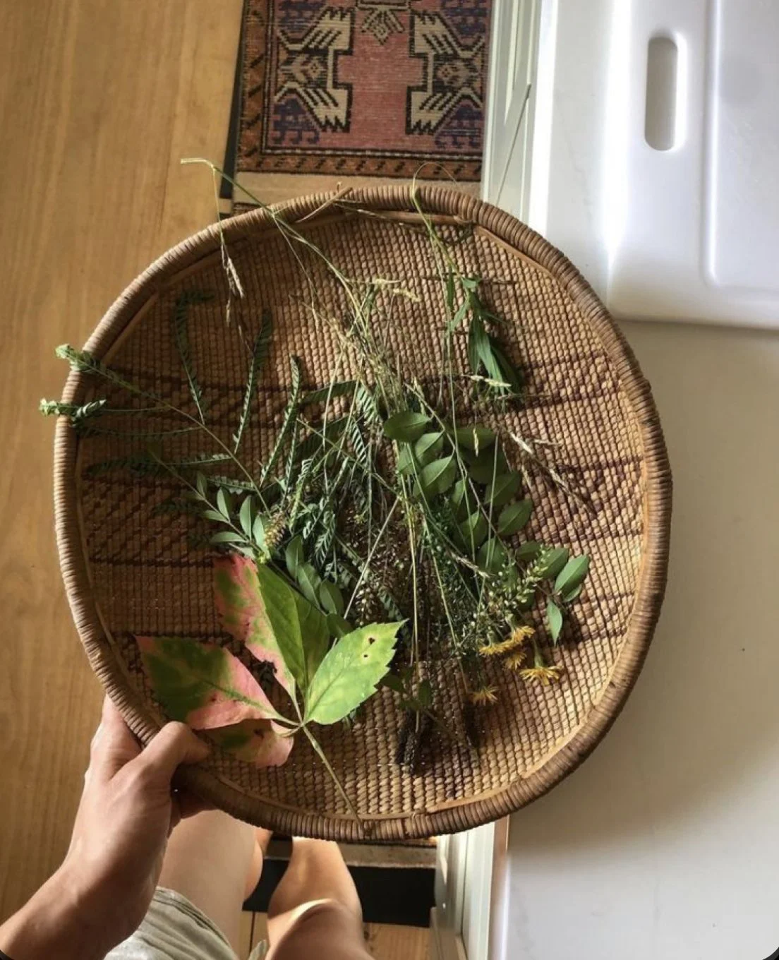 The Sun &amp; Silt foraging principles 