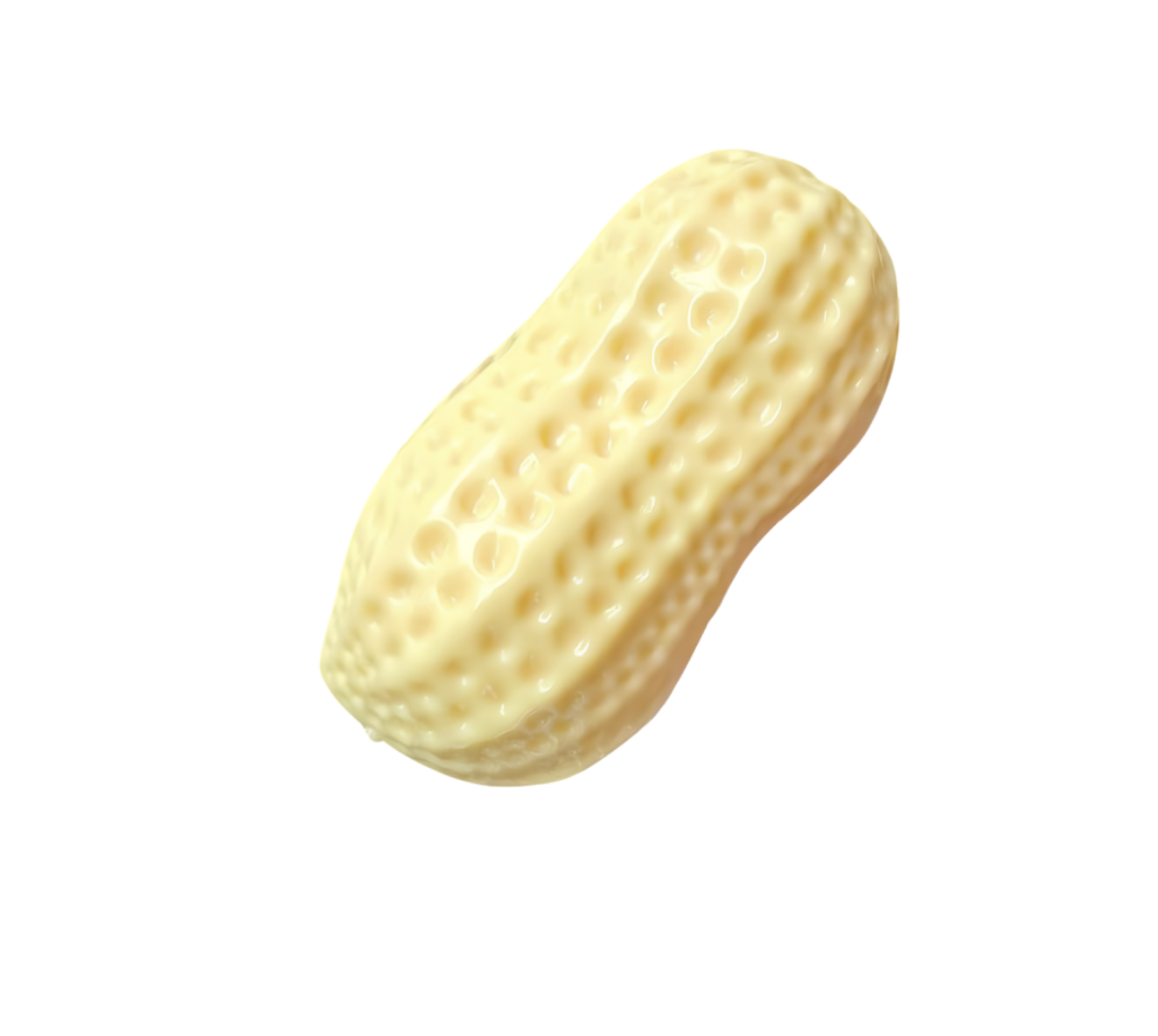 Crunchy Peanut Squishy