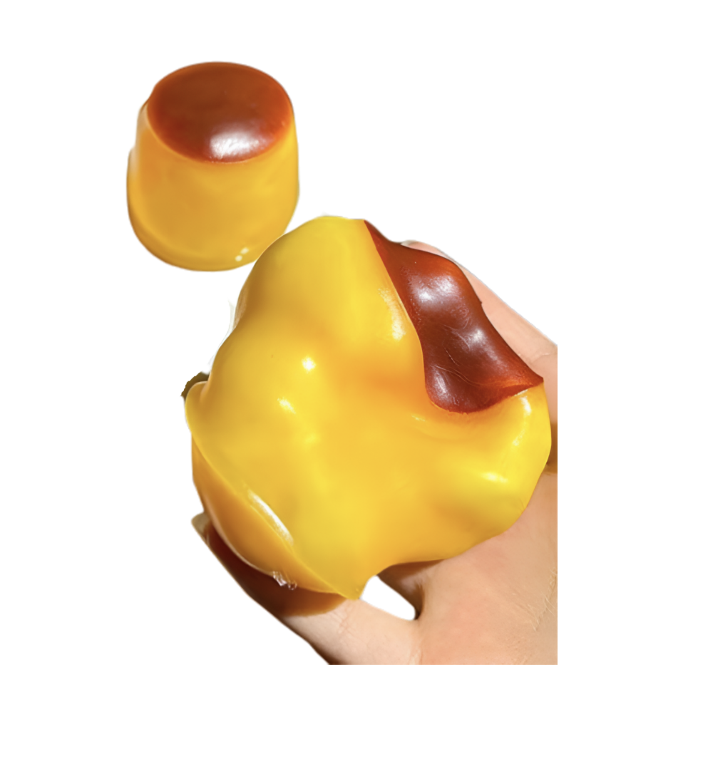 Crunchy_Caramel_Pudding_Squishy_canada.png