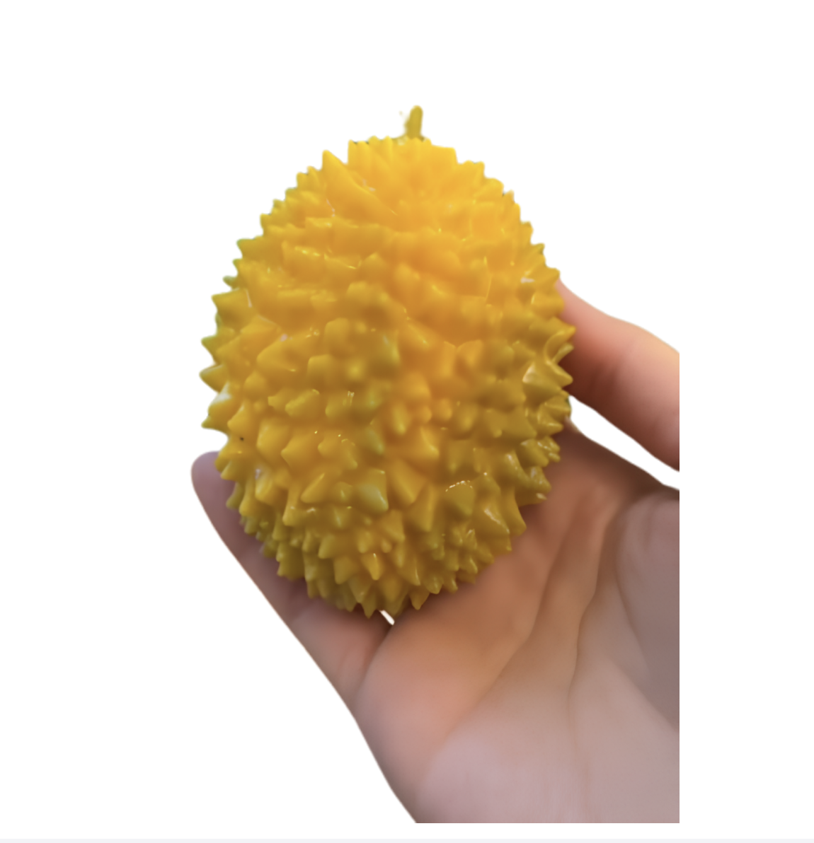 Crunchy_Durian_Squishy_Canada.png