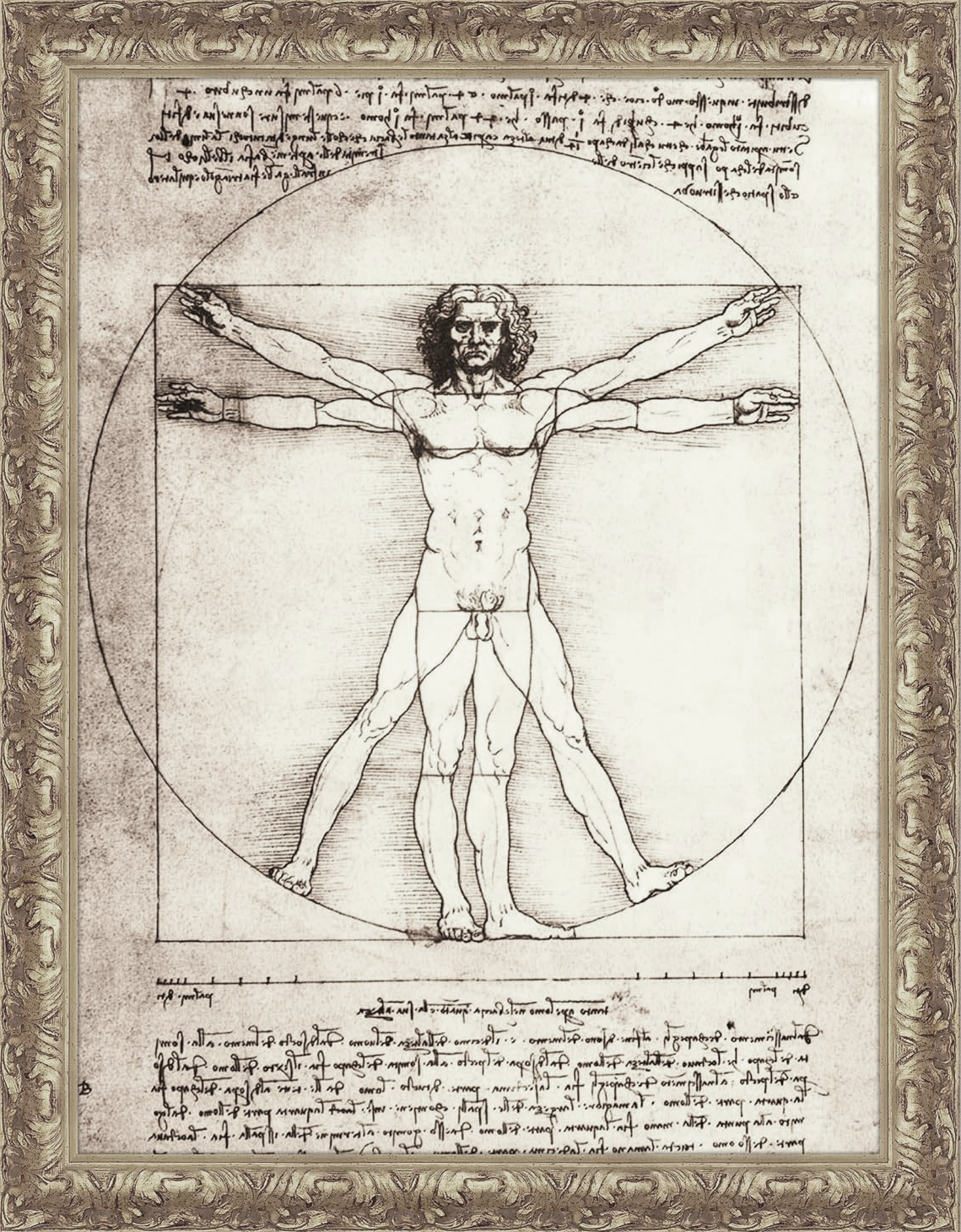 Disegno di Leonardo da Vinci raffigurante l'uomo vitruviano, una figura umana iscritta in un cerchio e un quadrato, con note scritte attorno.