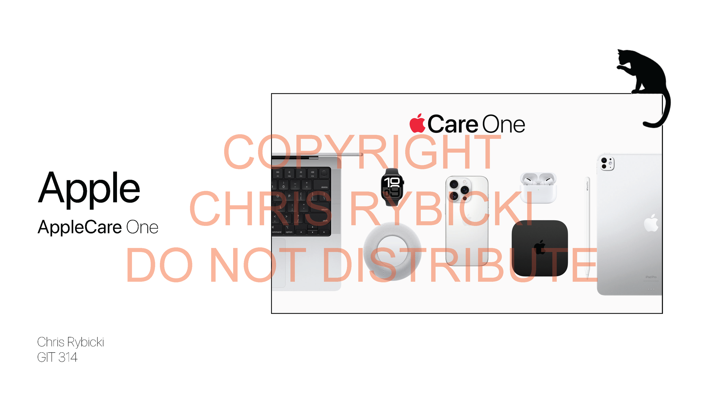 AppleCare One vs Cat_Page_1.png